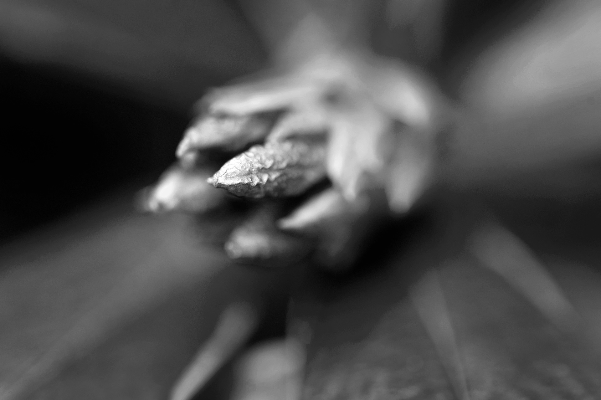 Archival pigment print