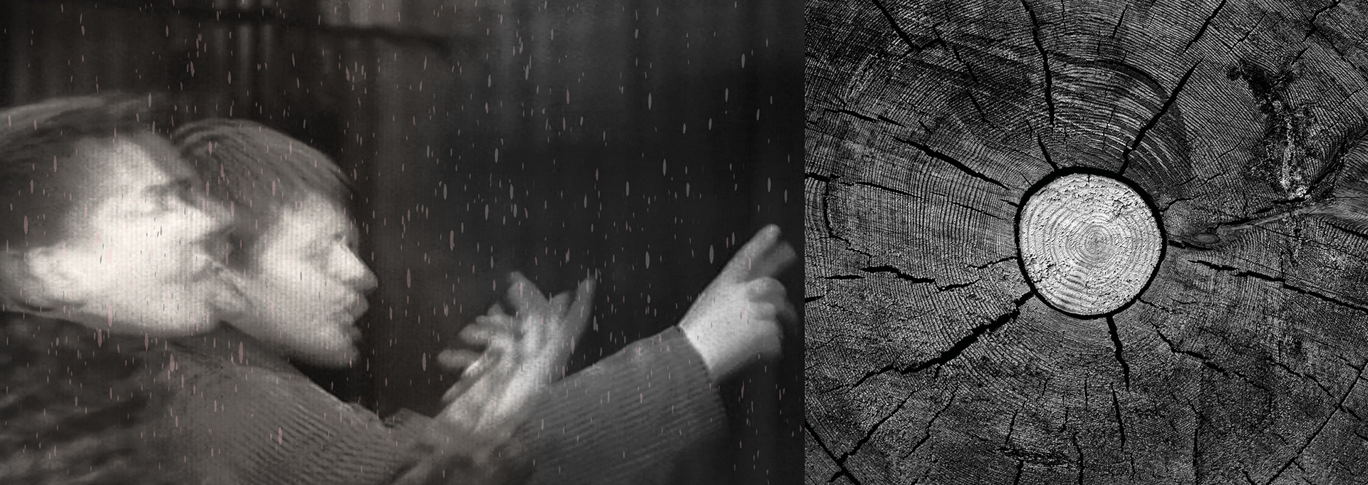 Human Nature (9). Collage, original photography, mixed media. 8 x 21 cm