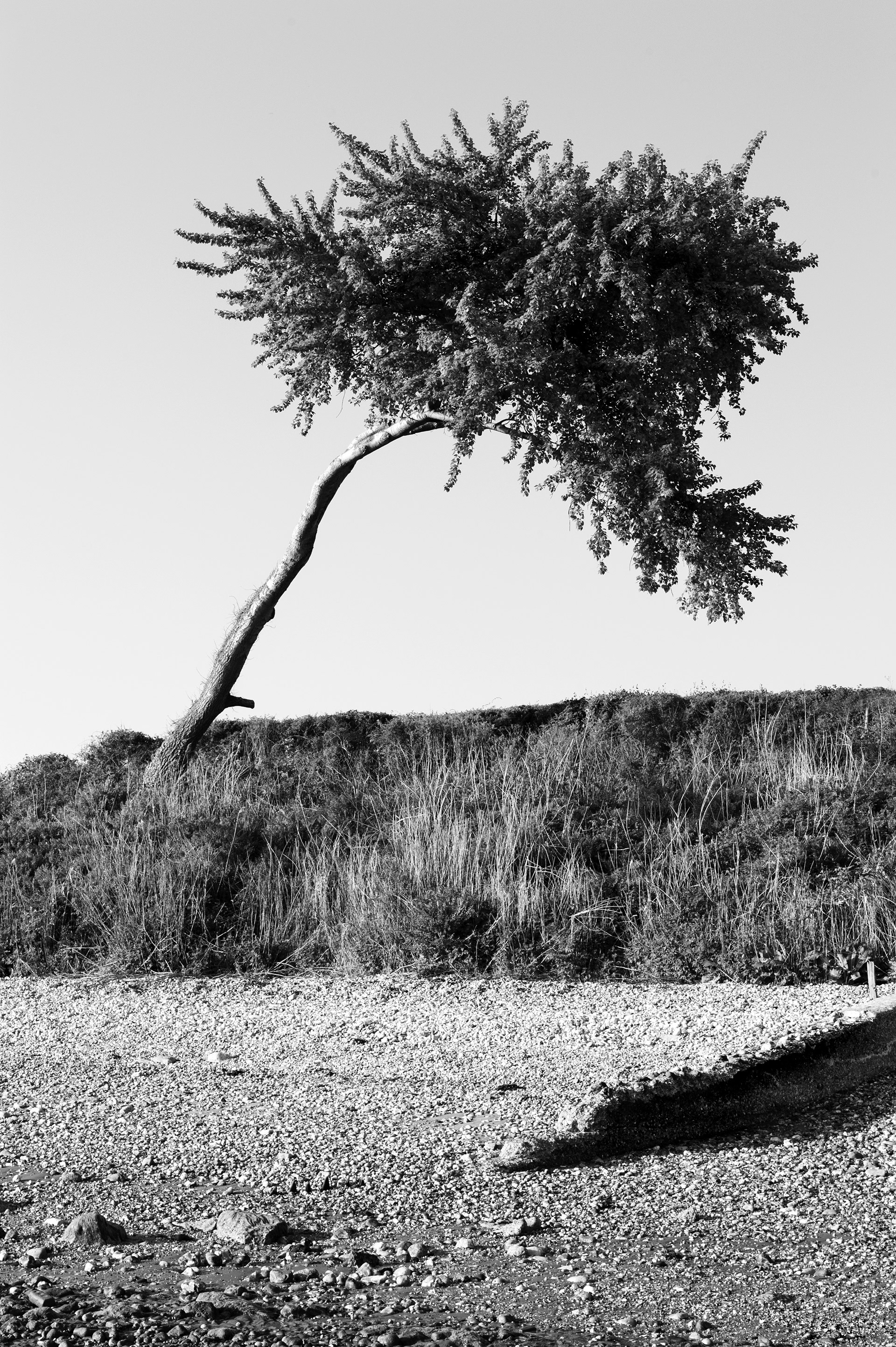 Archival pigment print
