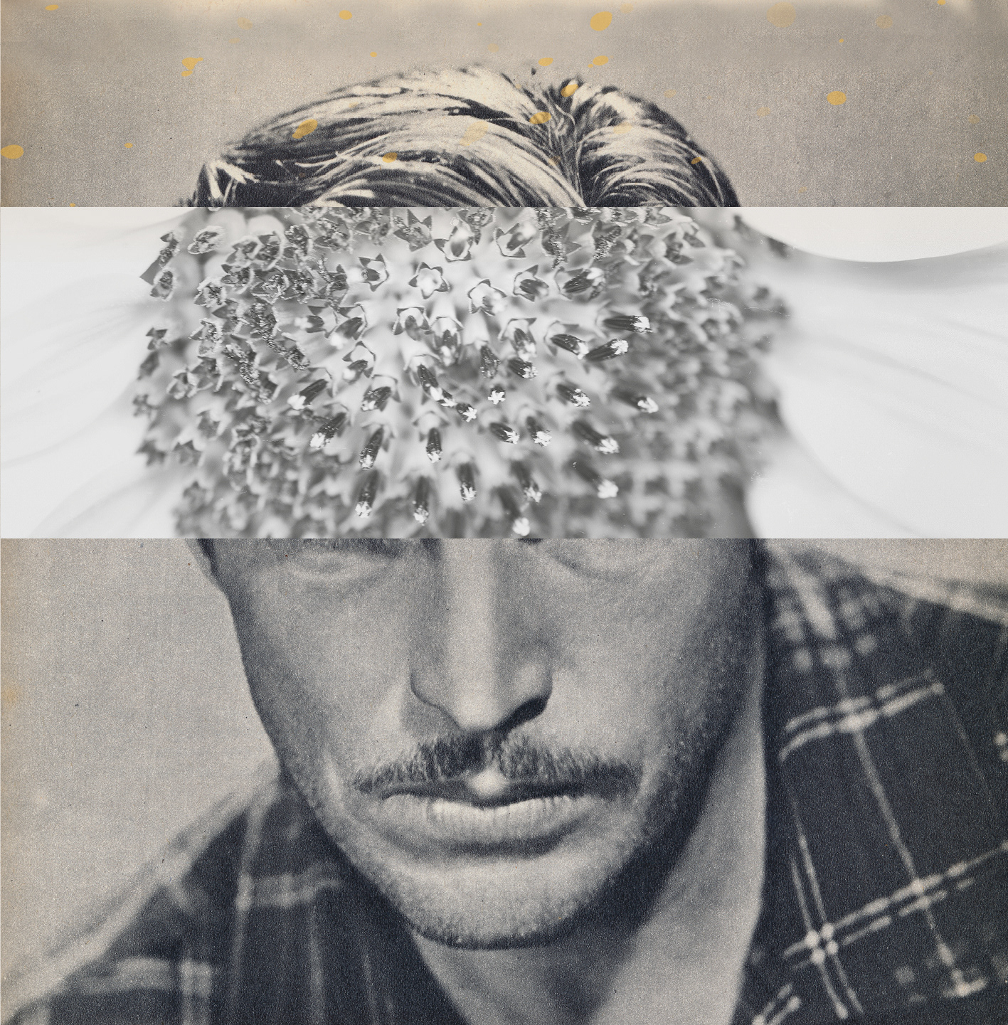 Human Nature (11). Collage, original photography, mixed media. 12 x 12 cm