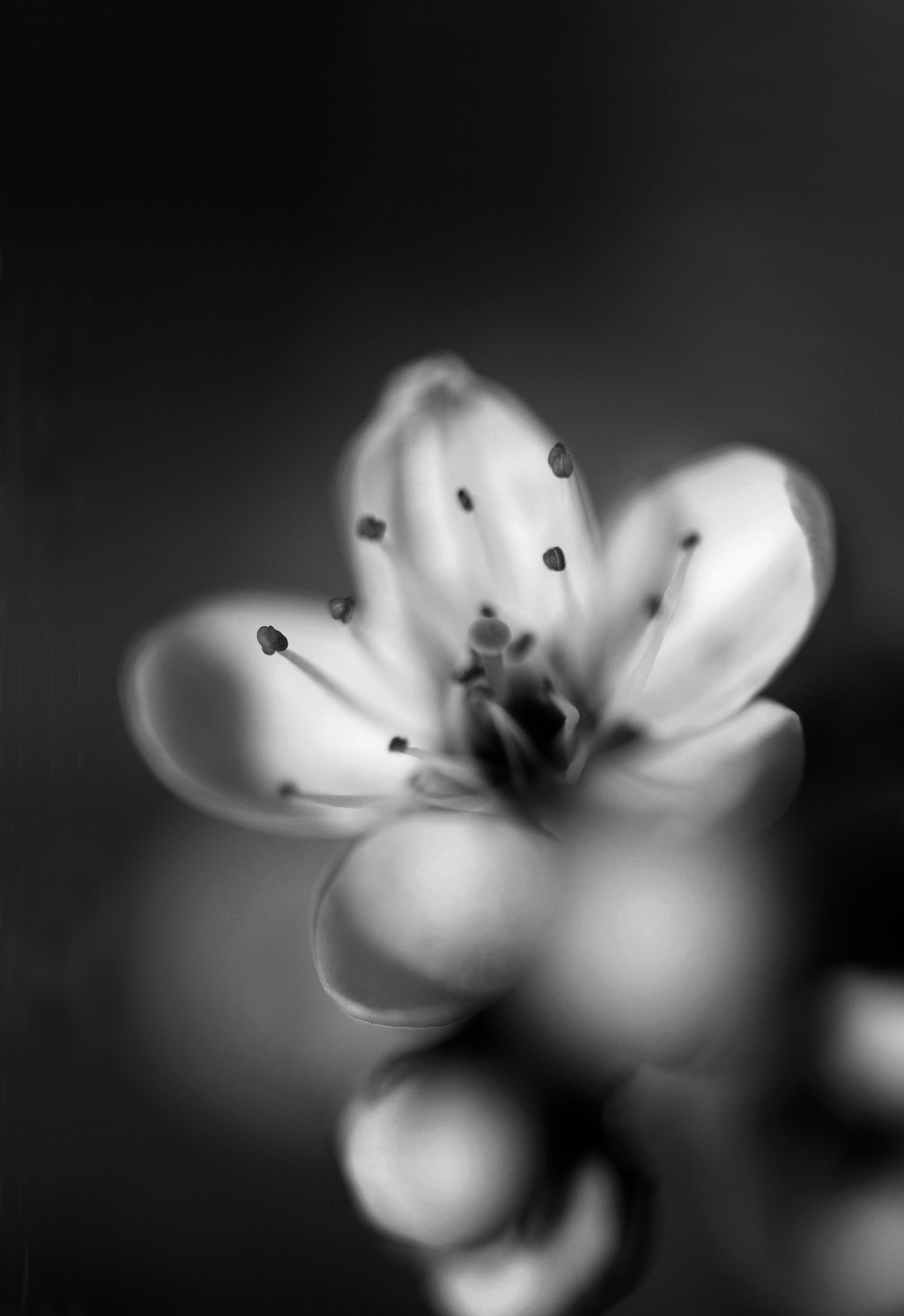 Archival pigment print