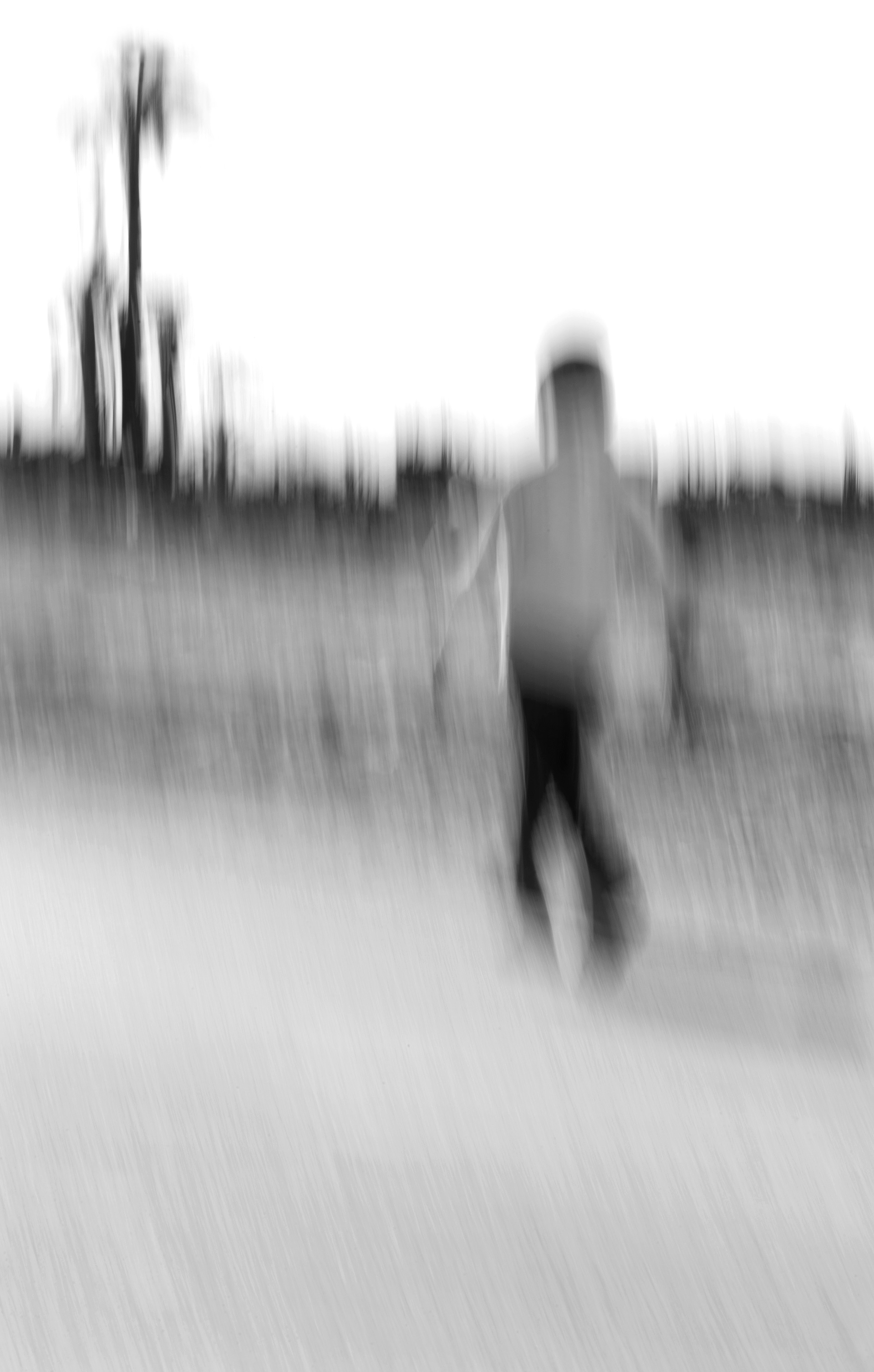 Archival pigment print