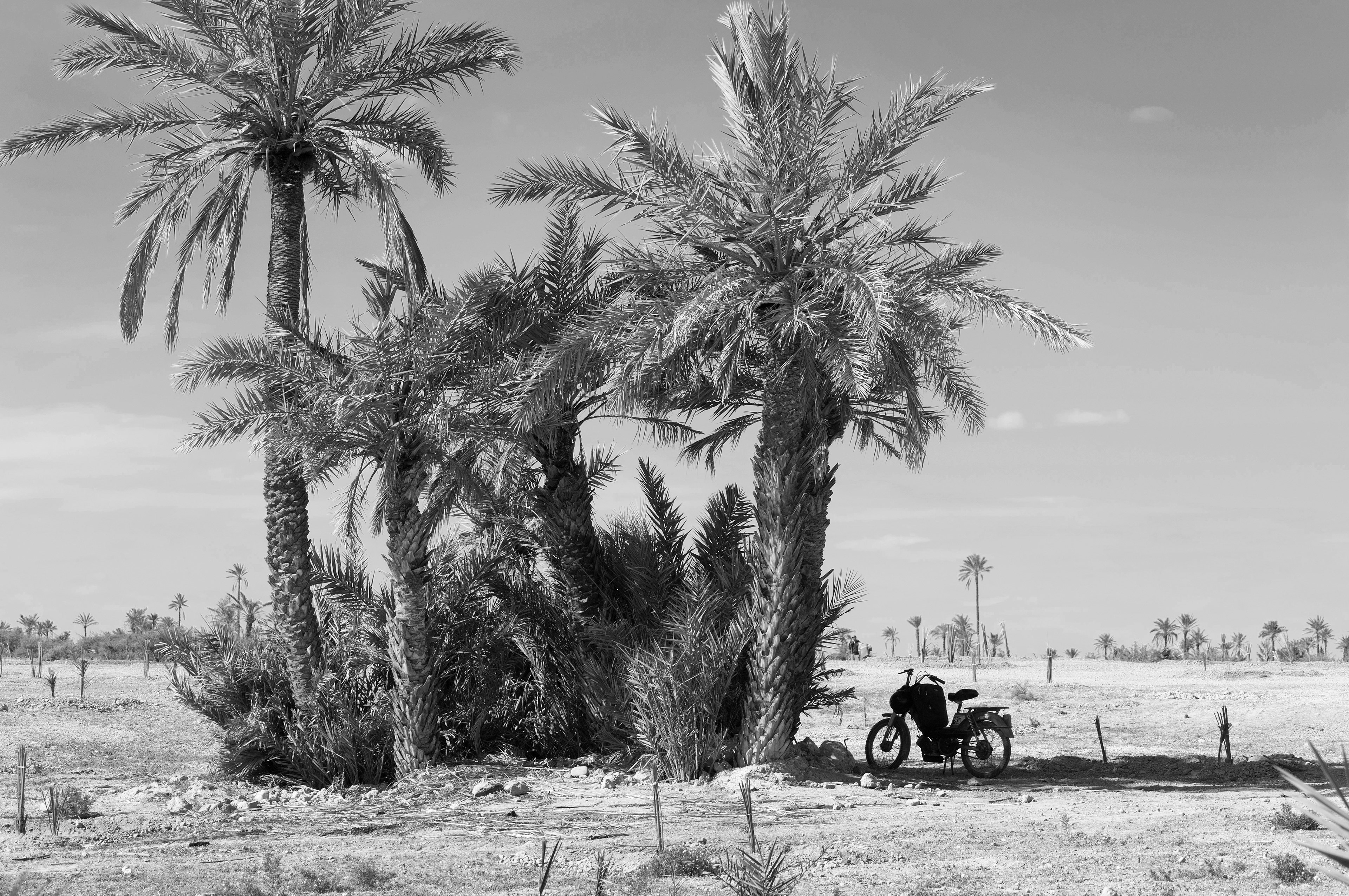 Archival pigment print