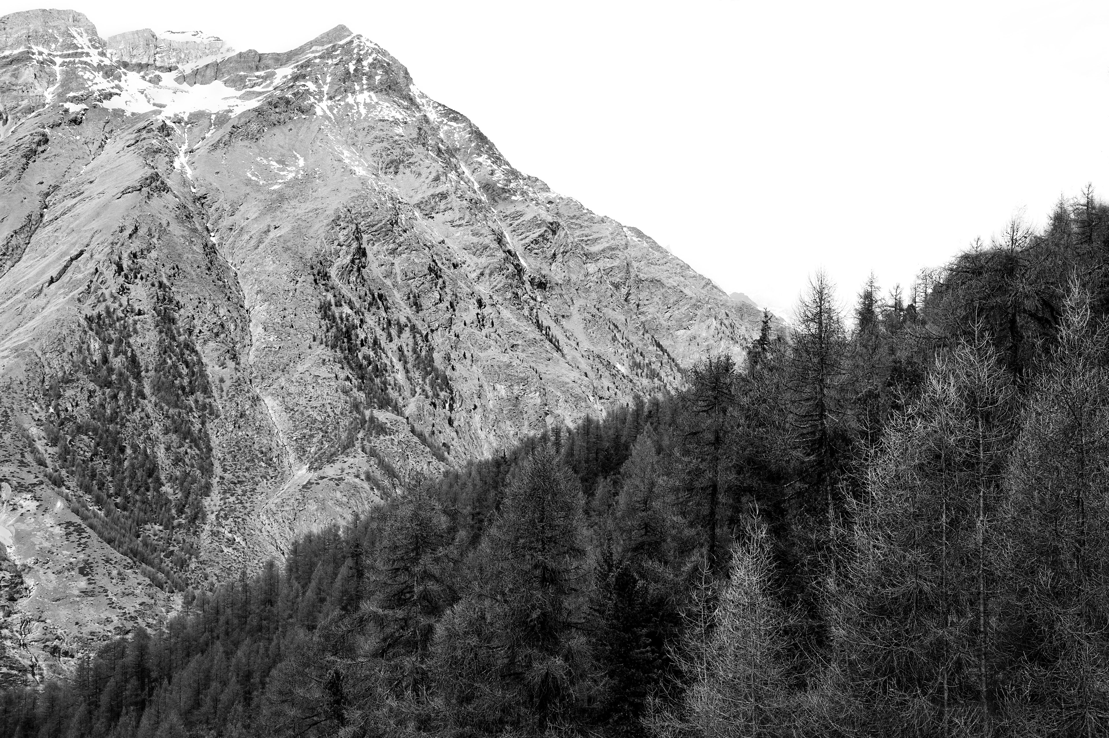 Archival pigment print