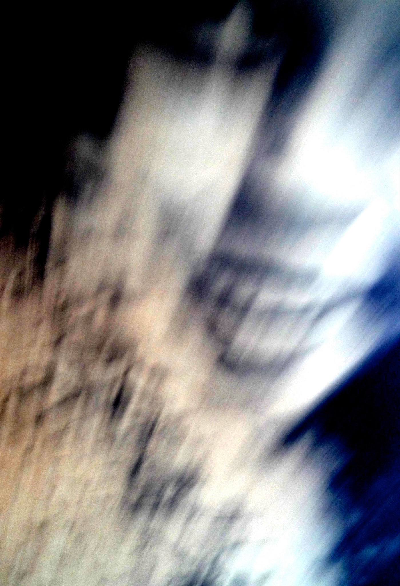 Eagle Heart. Photography, mixed media on Arches Aquarelle rag. 47 x 31 cm