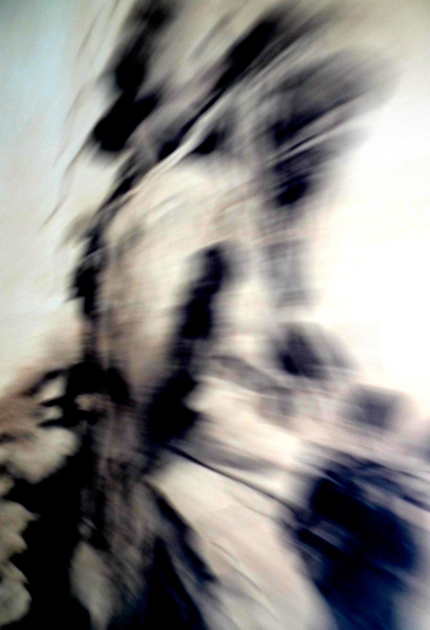 Geronimo. Photography, mixed media on Arches Aquarelle rag. 47 x 31 cm
