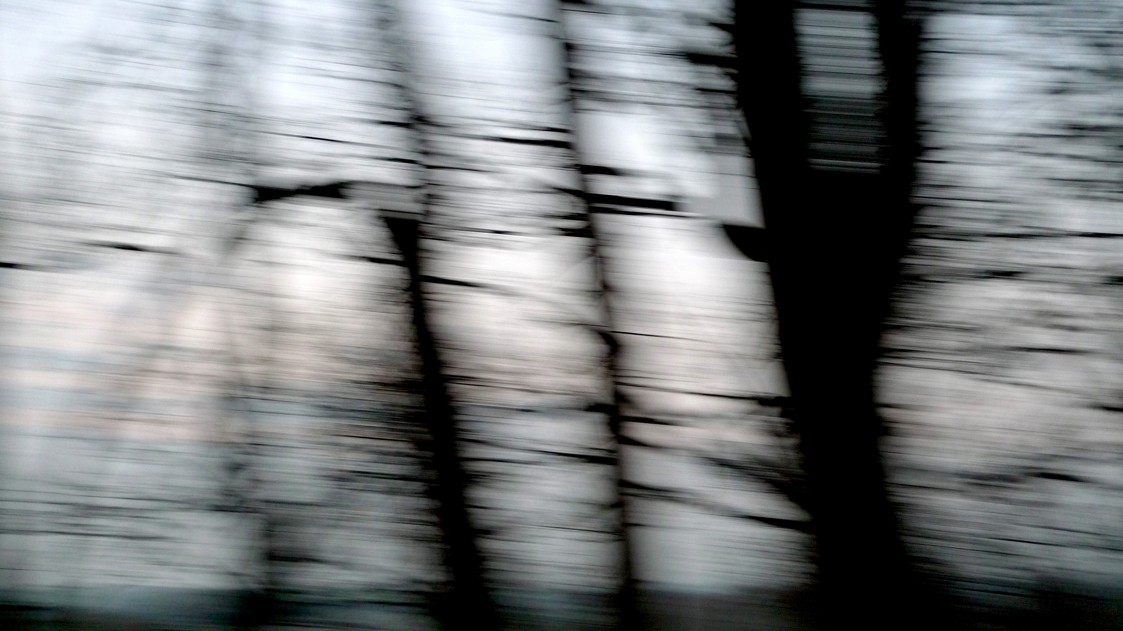 Dancing Oak. Photography, mixed media on Arches Aquarelle rag. 31 x 55 cm