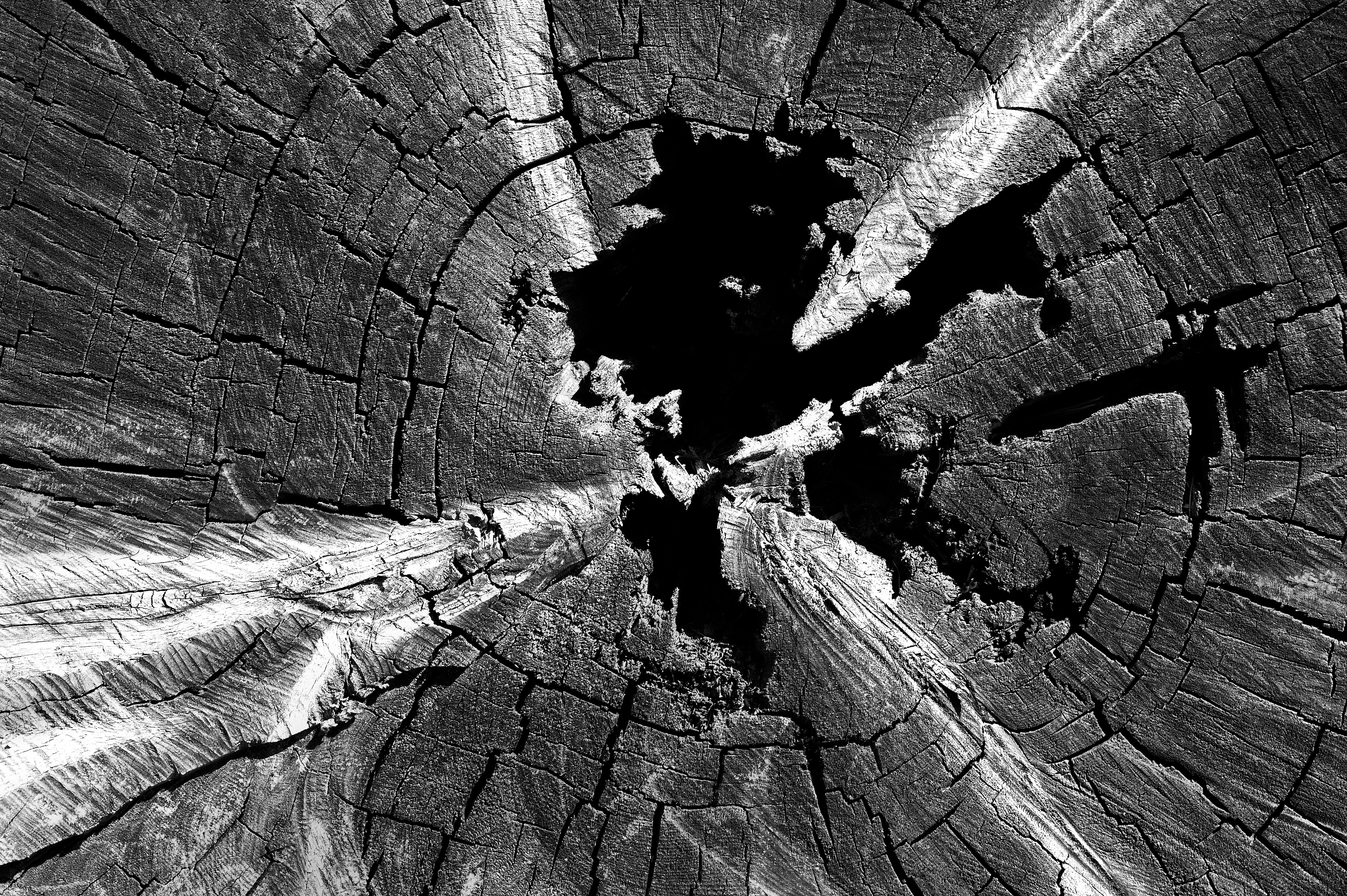 Archival pigment print