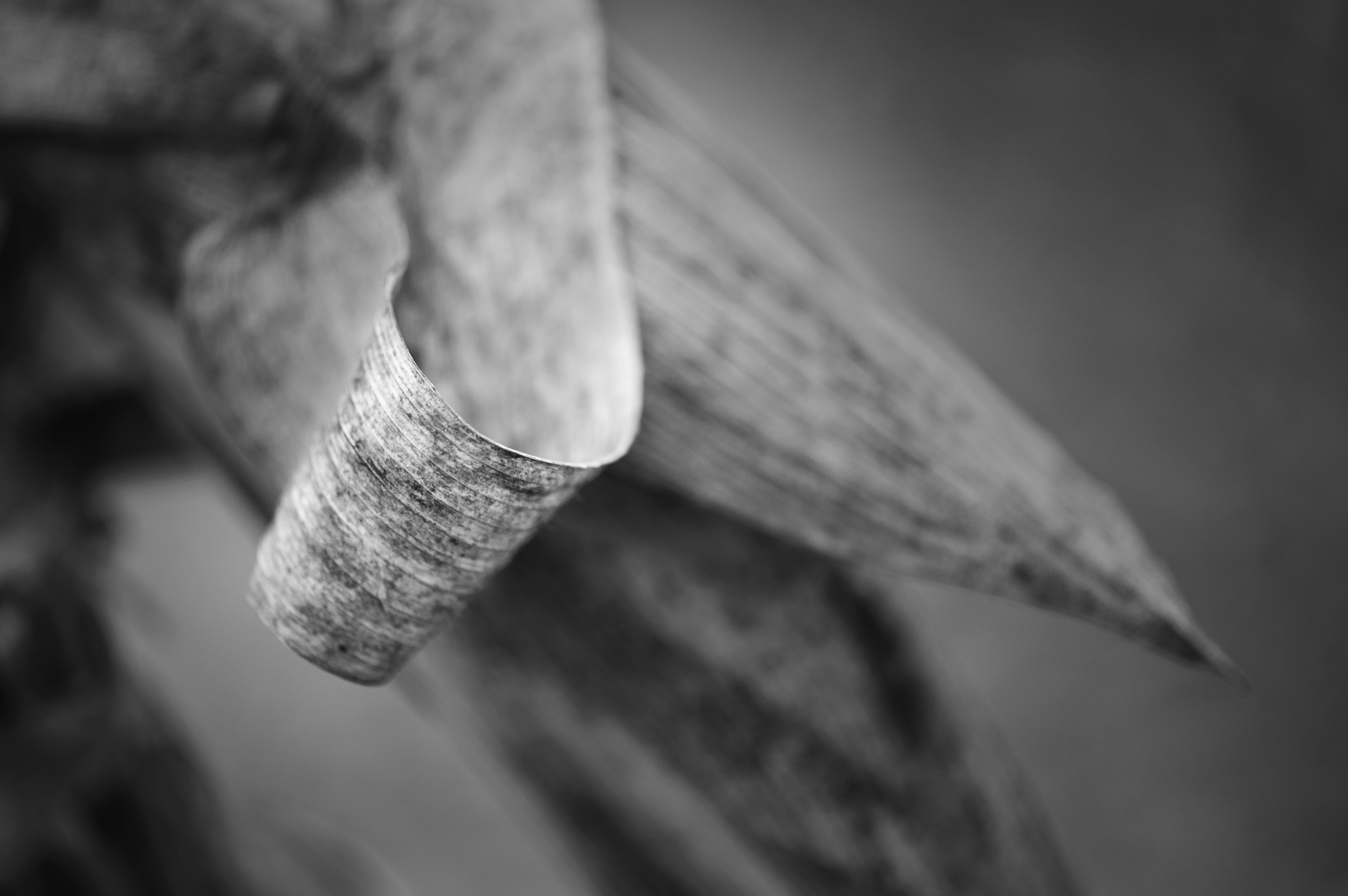 Four Corners (142). Archival pigment print on Arches 88
