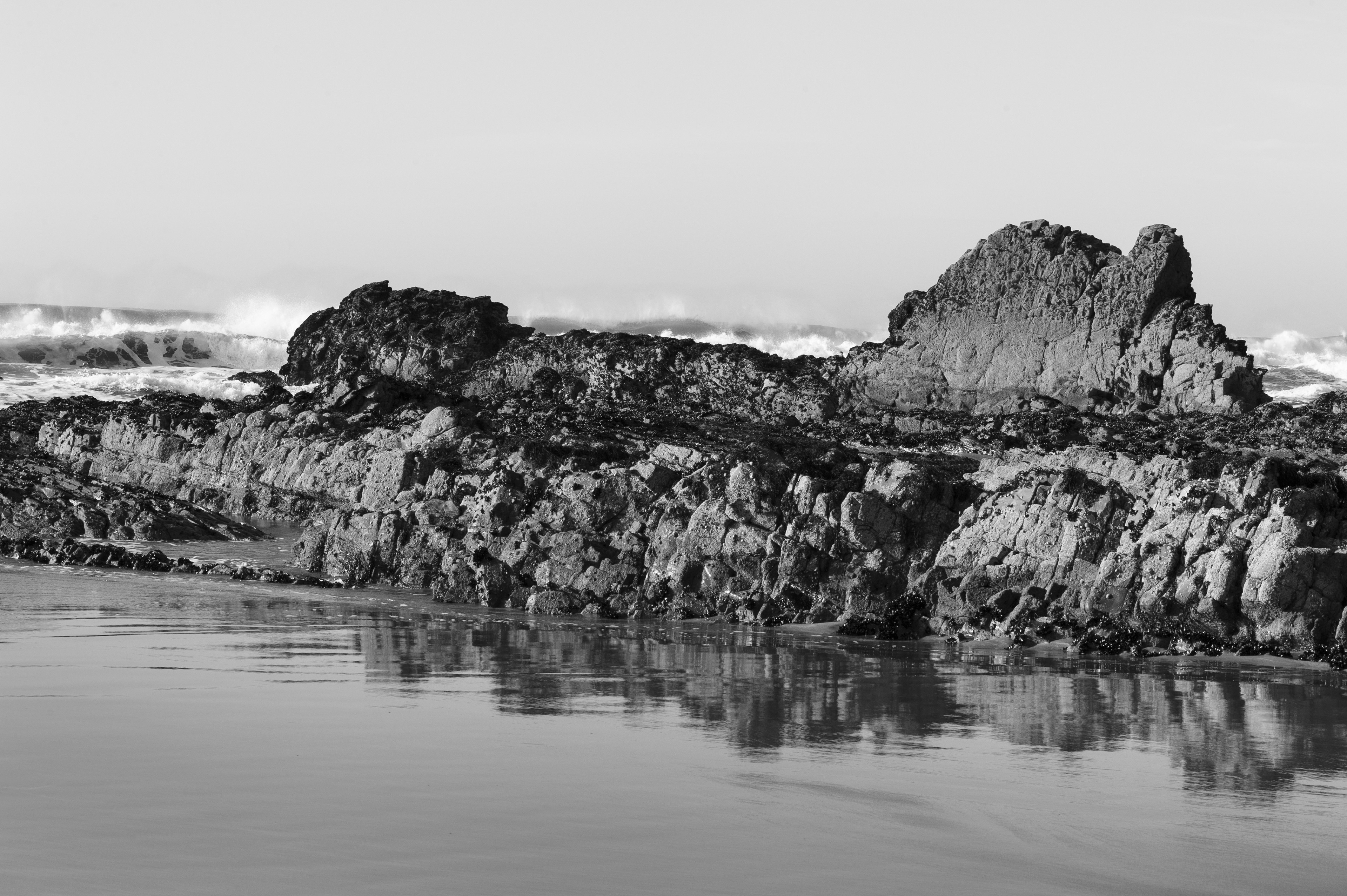 Archival pigment print