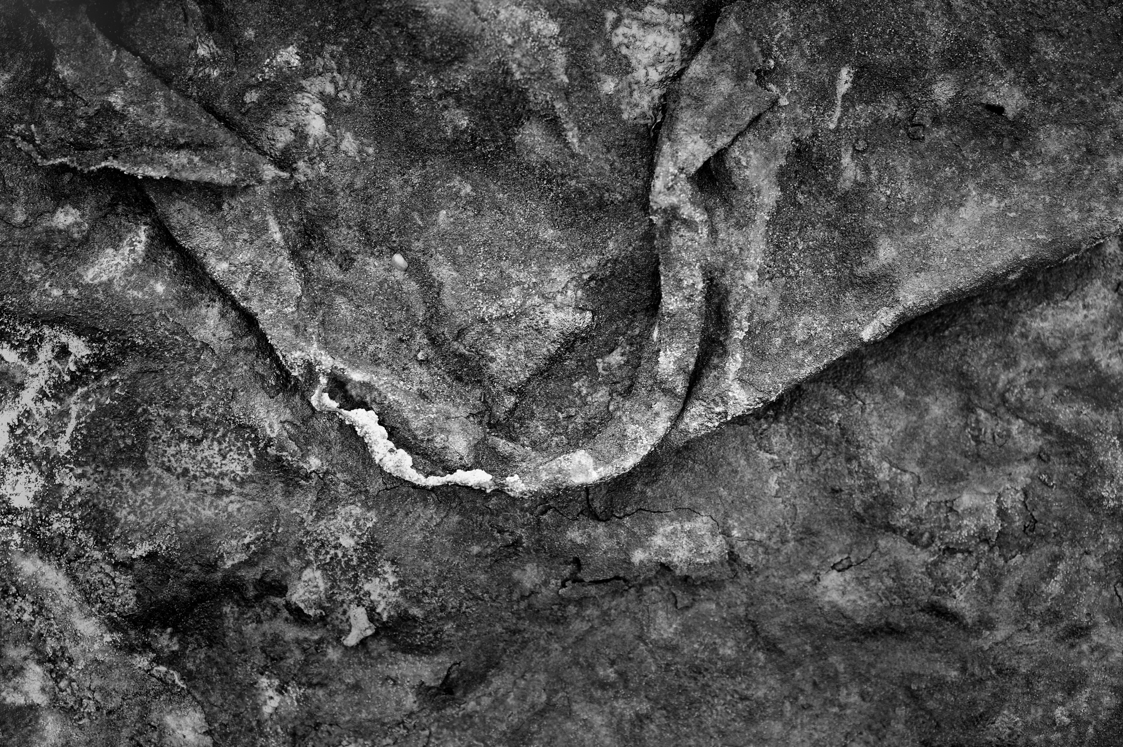 Archival pigment print