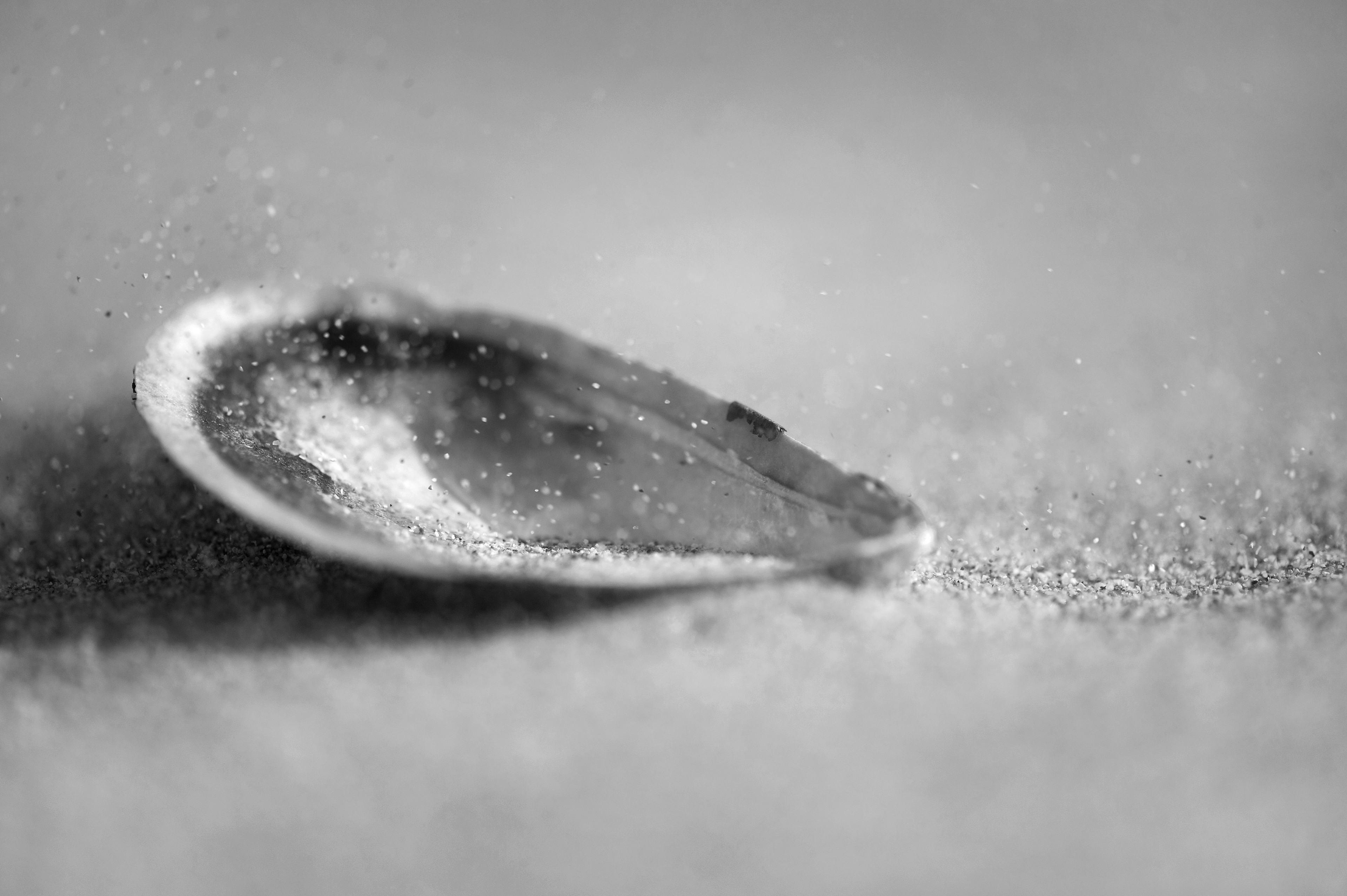 Archival pigment print
