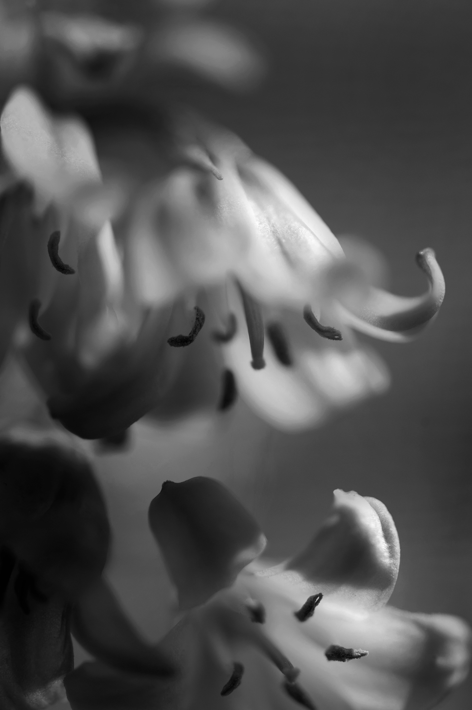 Archival pigment print