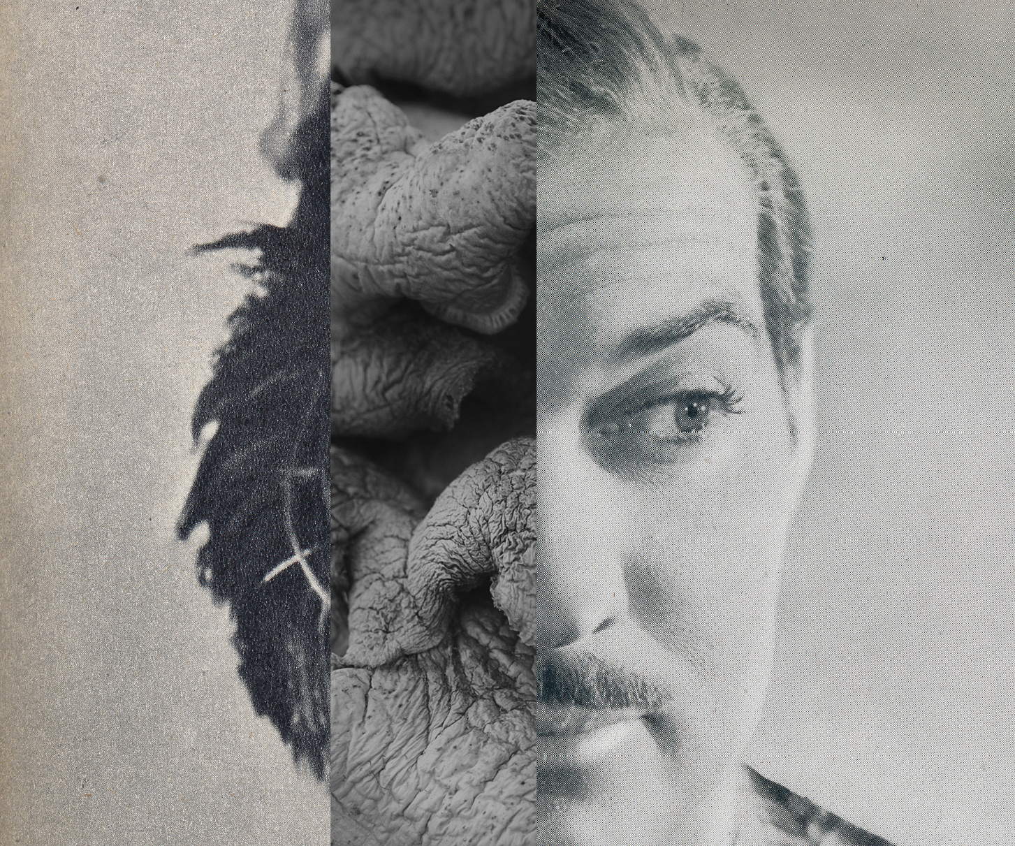 Human Nature (22). Collage, original photography, mixed media. 10 x 12 cm