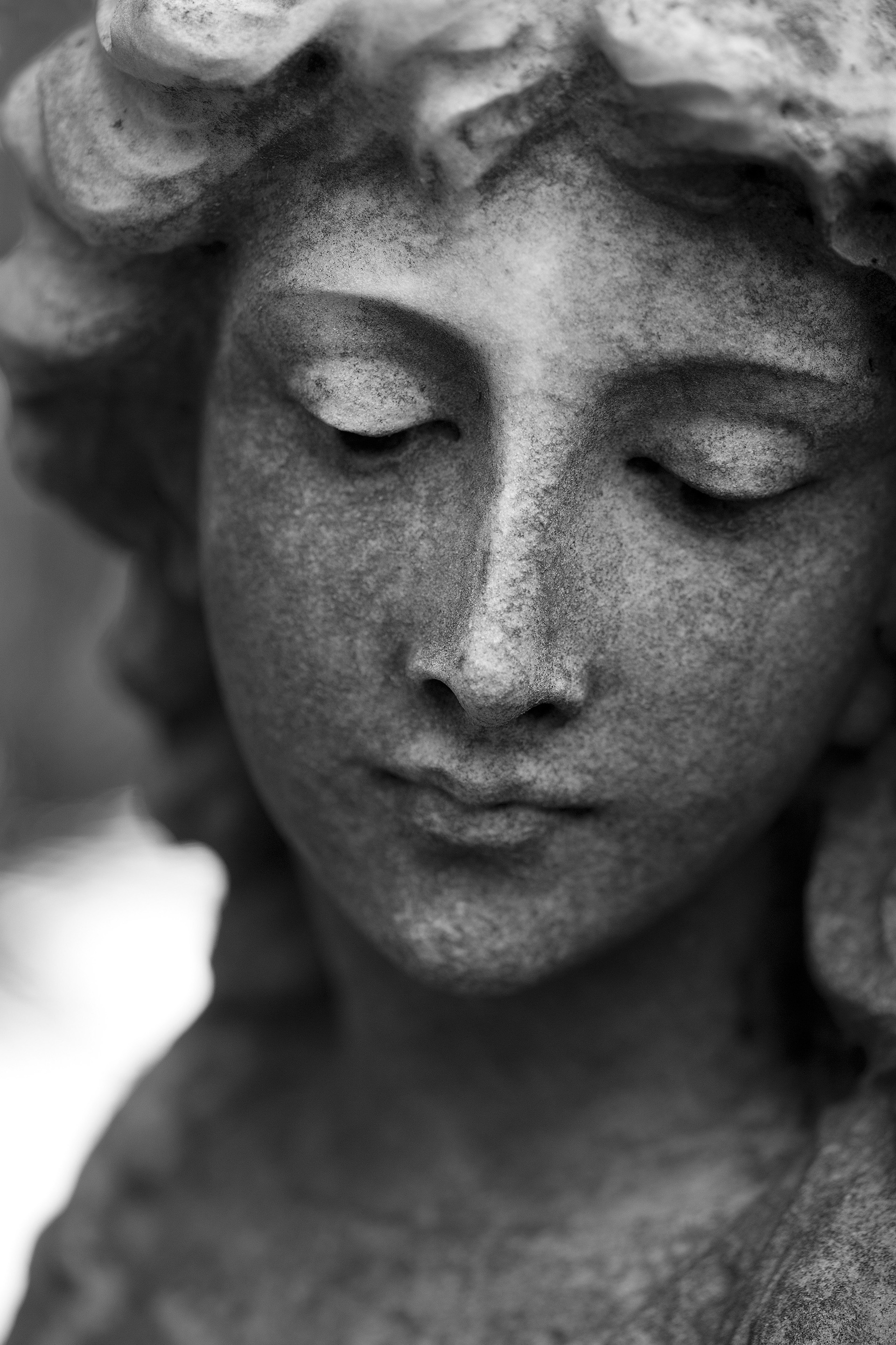 Archival pigment print