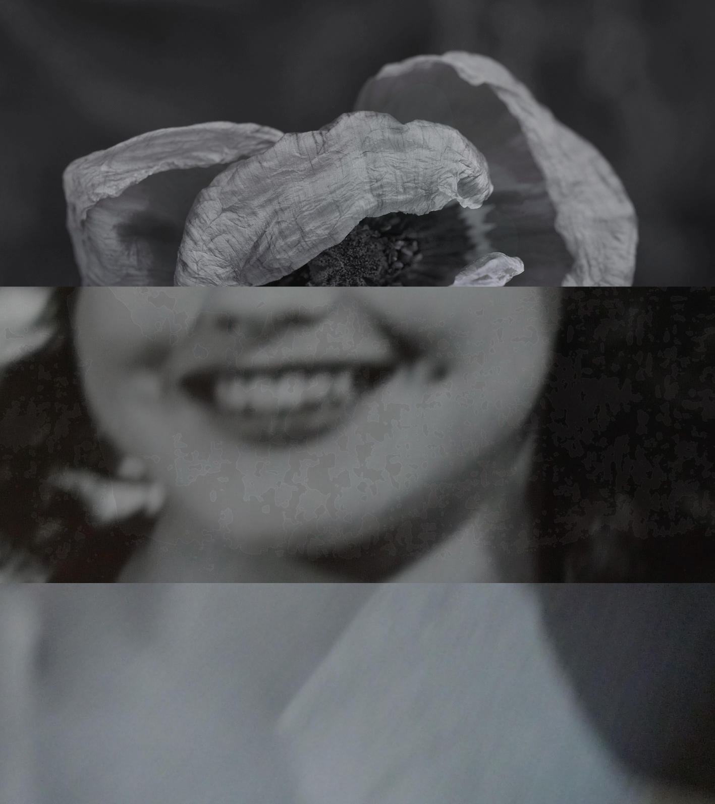 Human Nature (6). Collage, original photography, mixed media. 13 x 12 cm