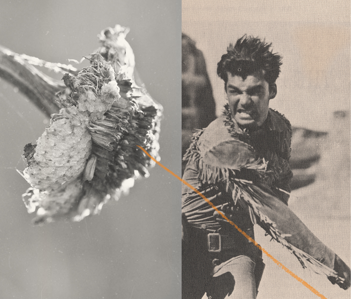 Human Nature (12). Collage, original photography, mixed media. 10 x 12 cm