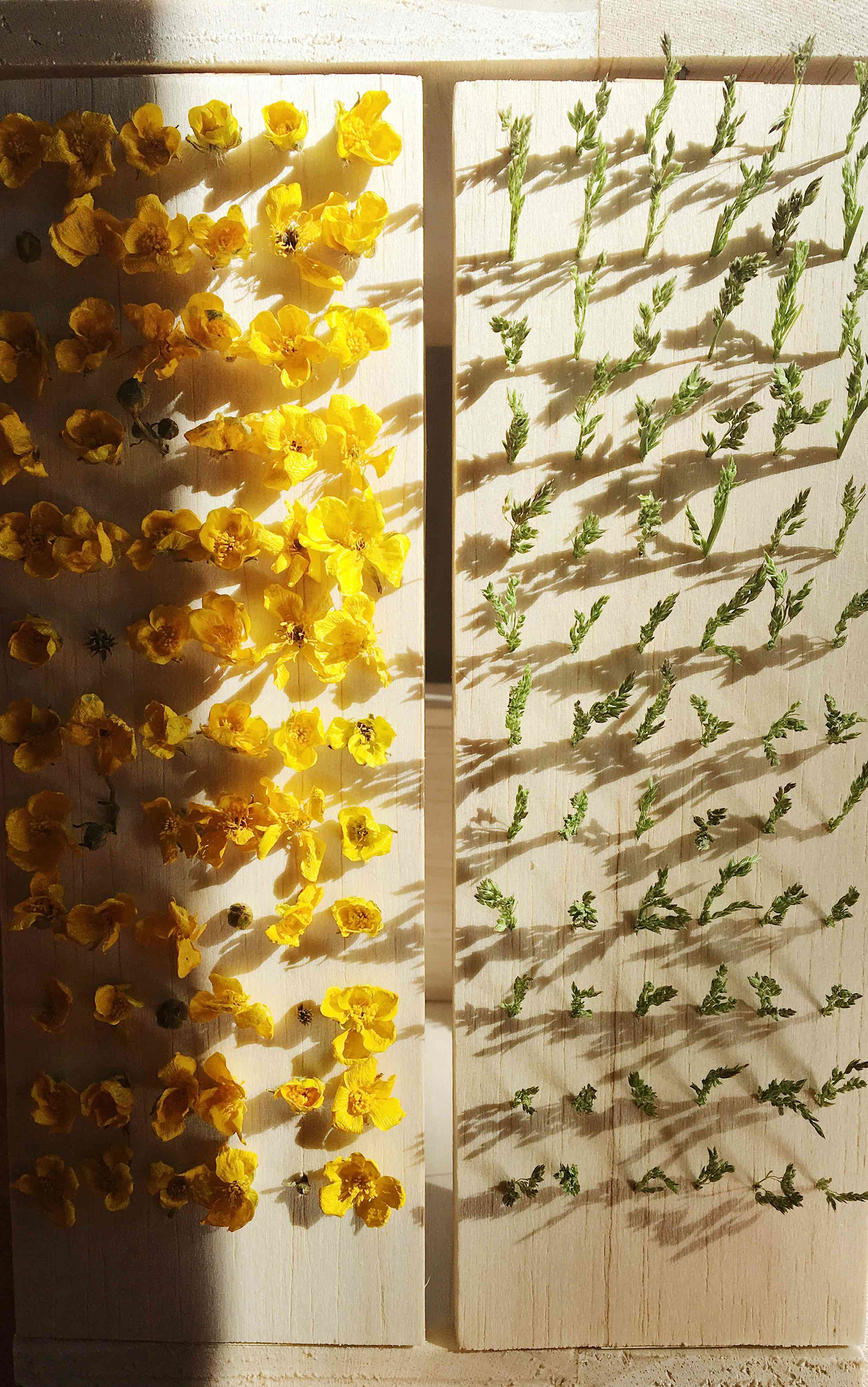 1:10 model - Front view of the flower kiosk