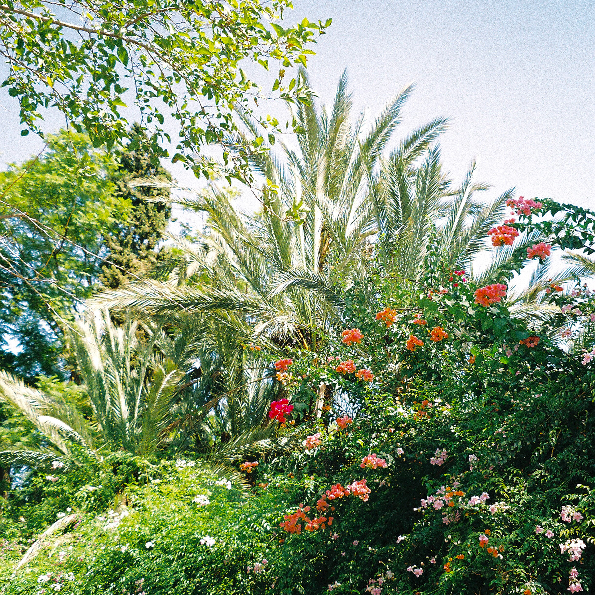 Marrakech, 2023