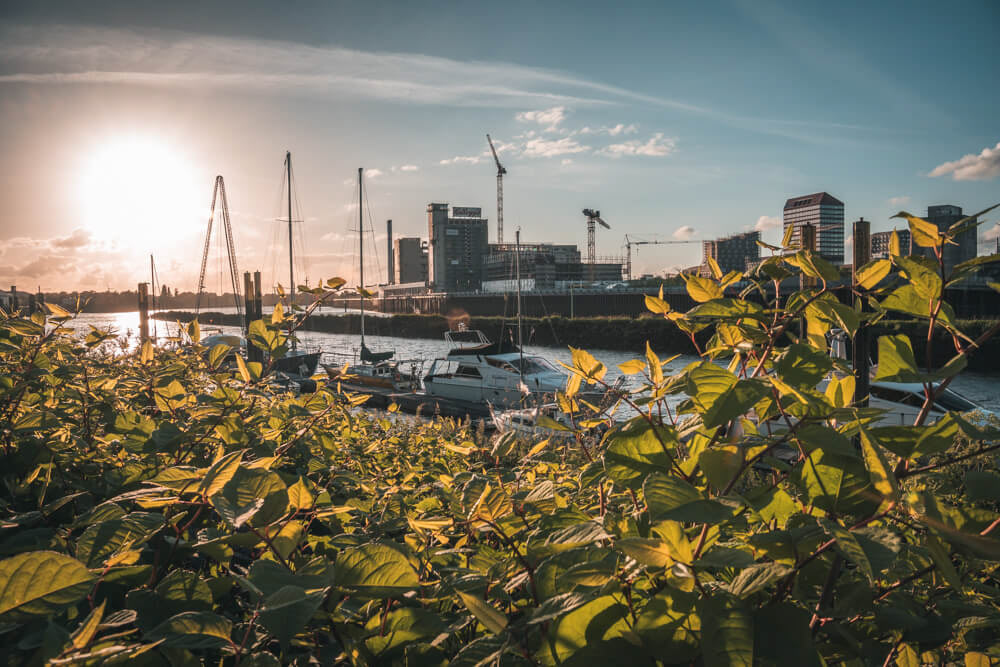 Werbefotografie Bremen, Hamburg, Hannover