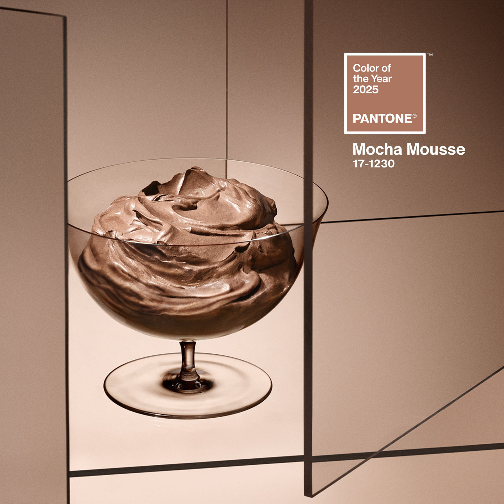 Pantone Color of the Year 2025