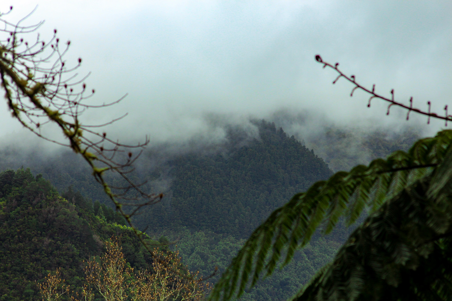 The Clouds in the Mountains