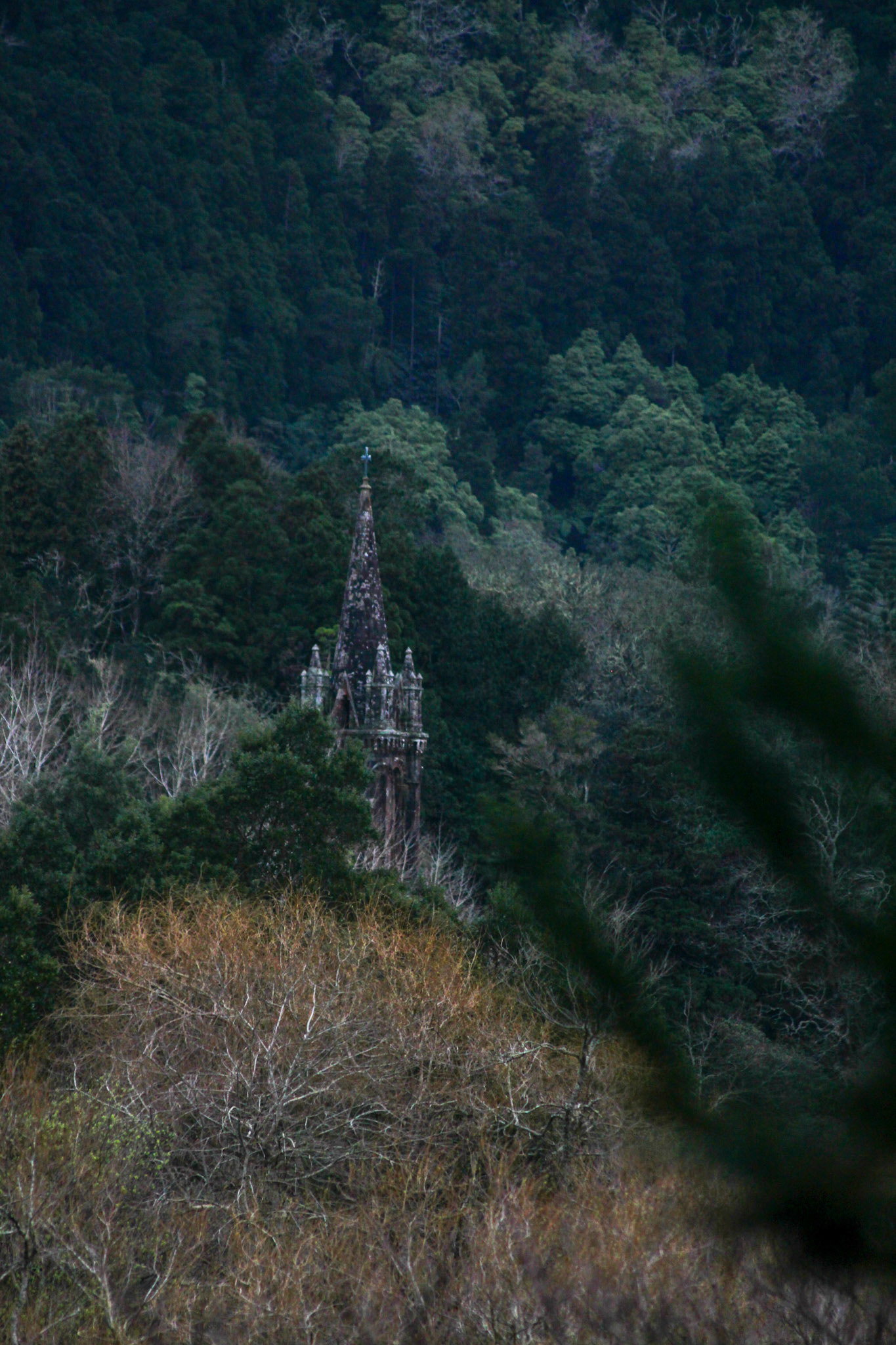 Church in the Trees