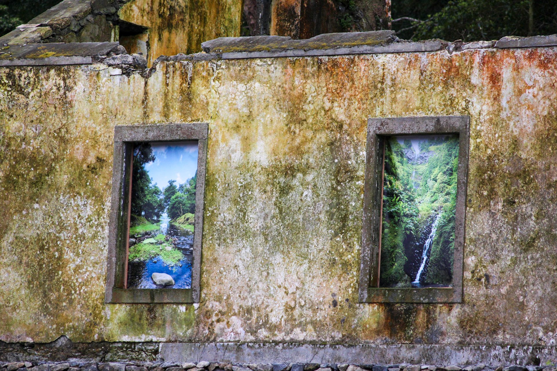 Abandoned House