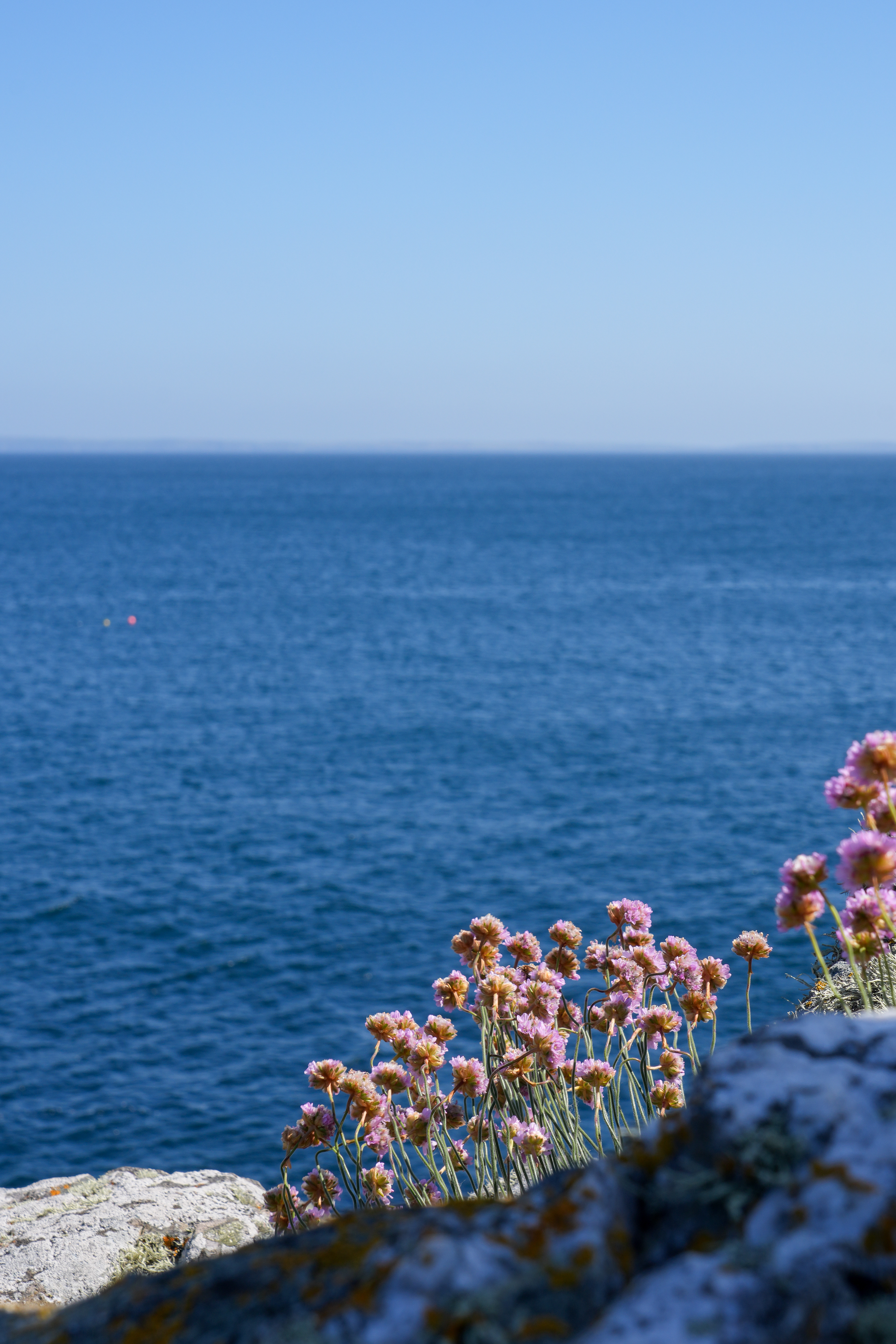 SONY 24-105/4 G | 43mm | F11 | 1/125 | ISO 100