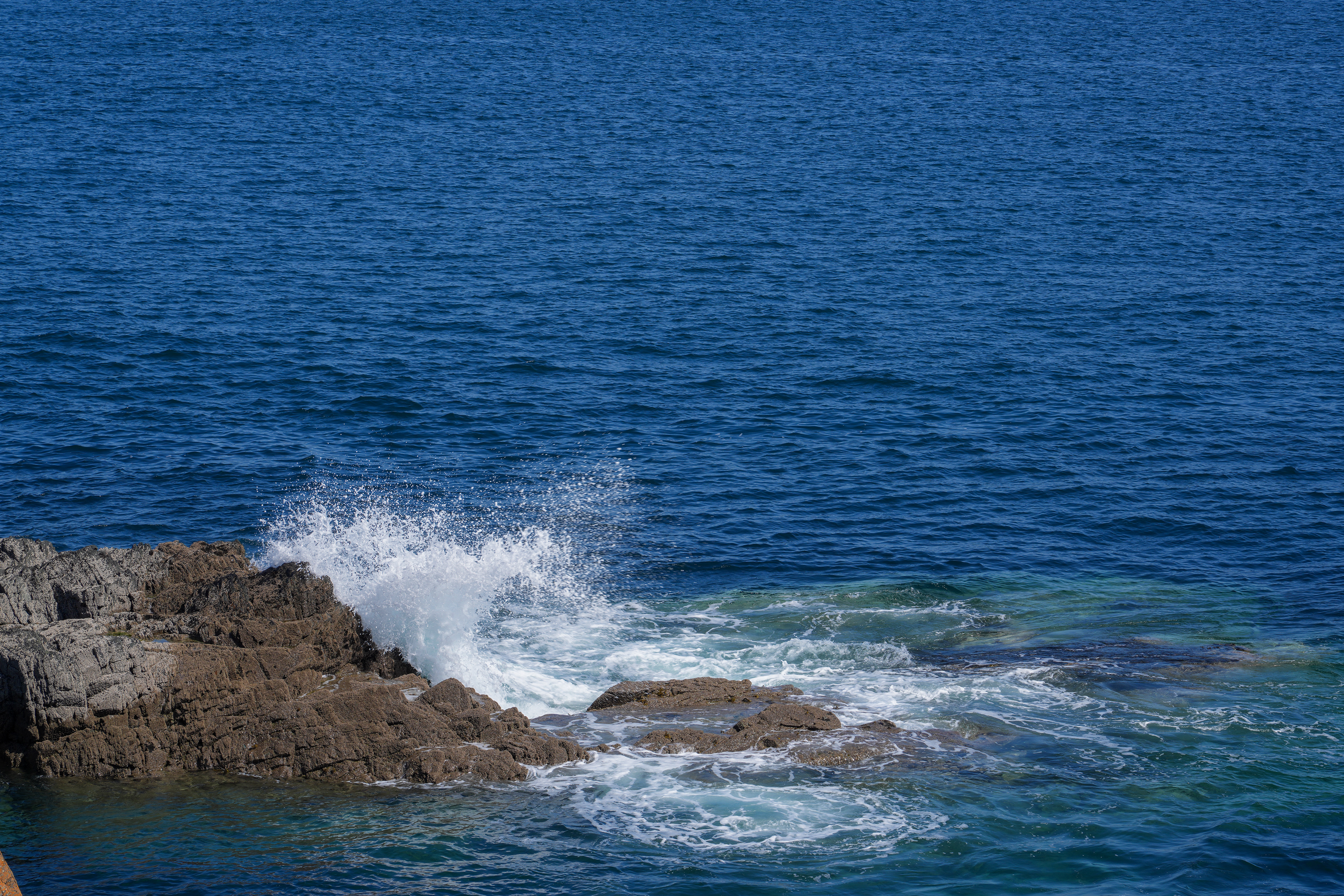 SONY 24-105/4 G | 105mm | F11 | 1/160 | ISO 100