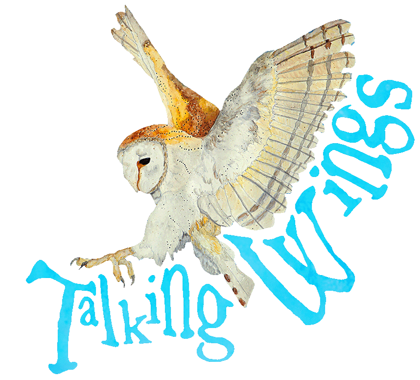 Talking Wings