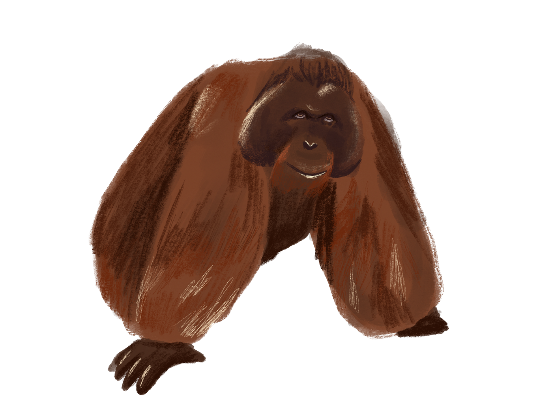 Katty Huertas 5 Critically Endangered Species Animation Katty Huertas 5 Critically Endangered Species Animation