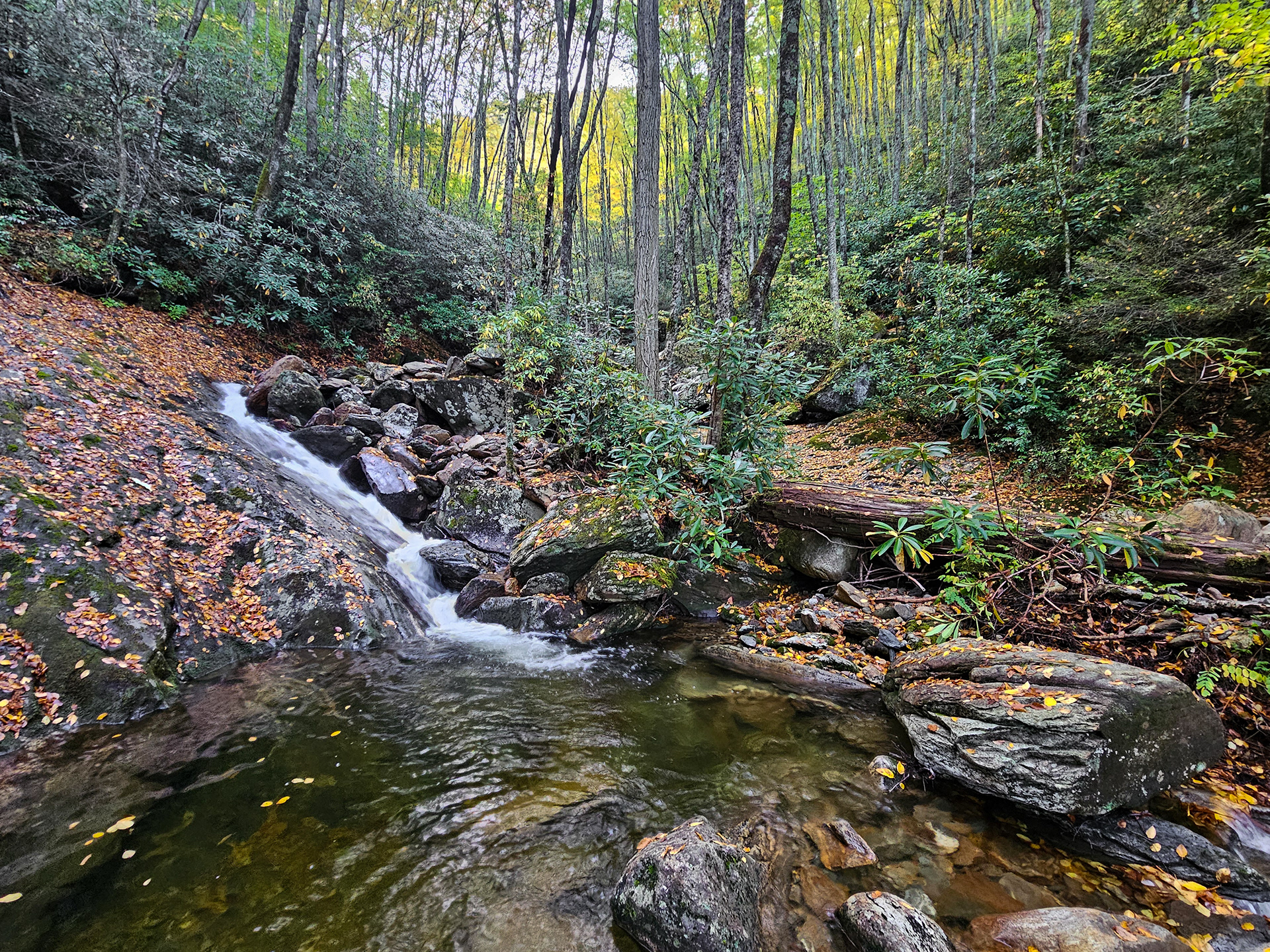 View after entering the creek.