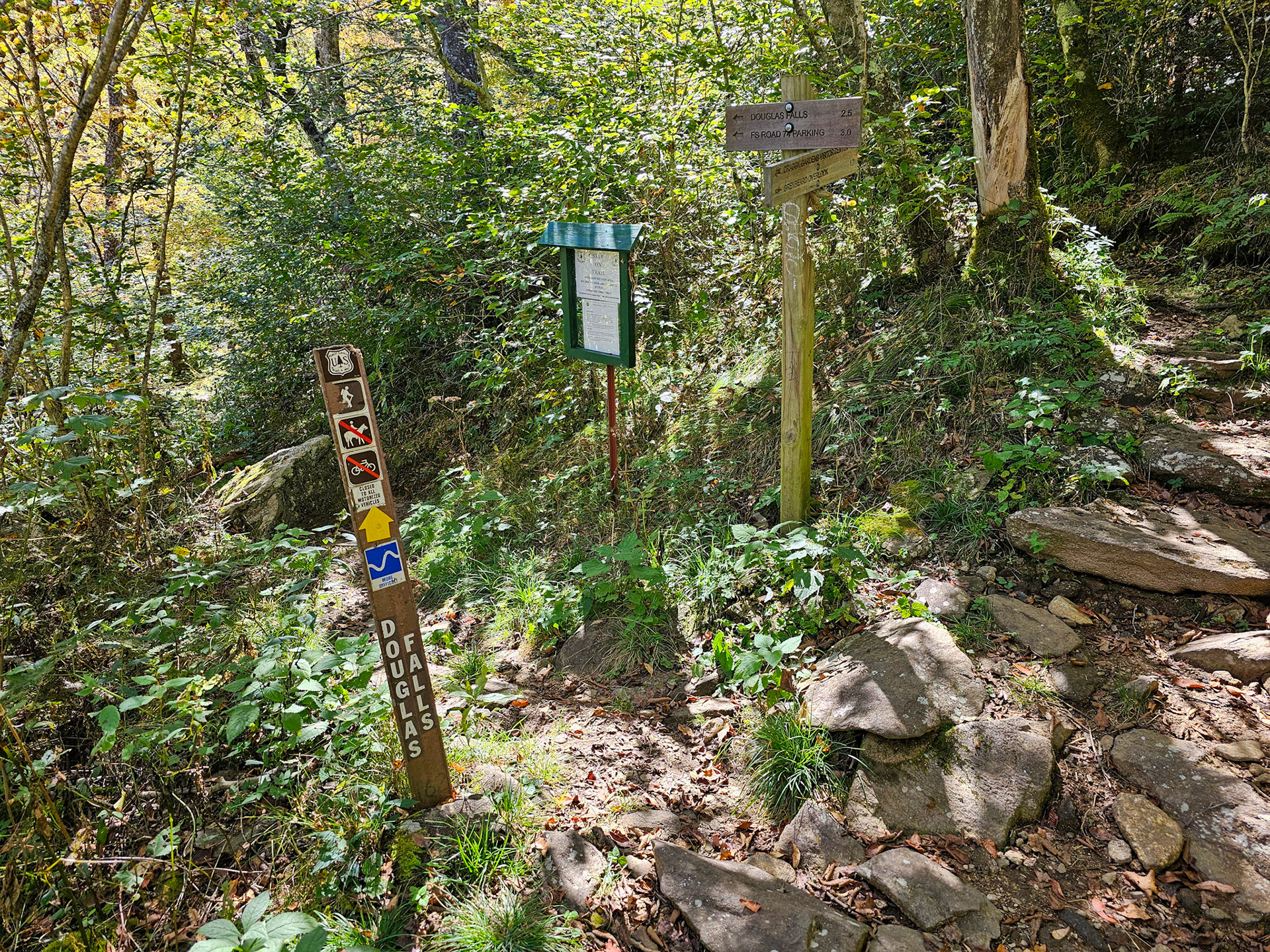 1.1 Miles - Fork Signpost #2 (Go Left)