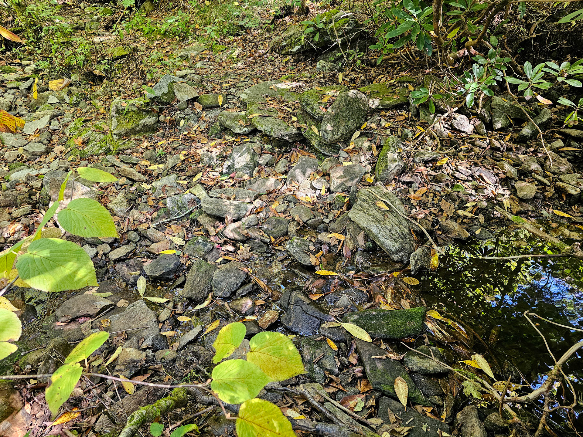 2.4 Miles - Unnamed Creek Crossing