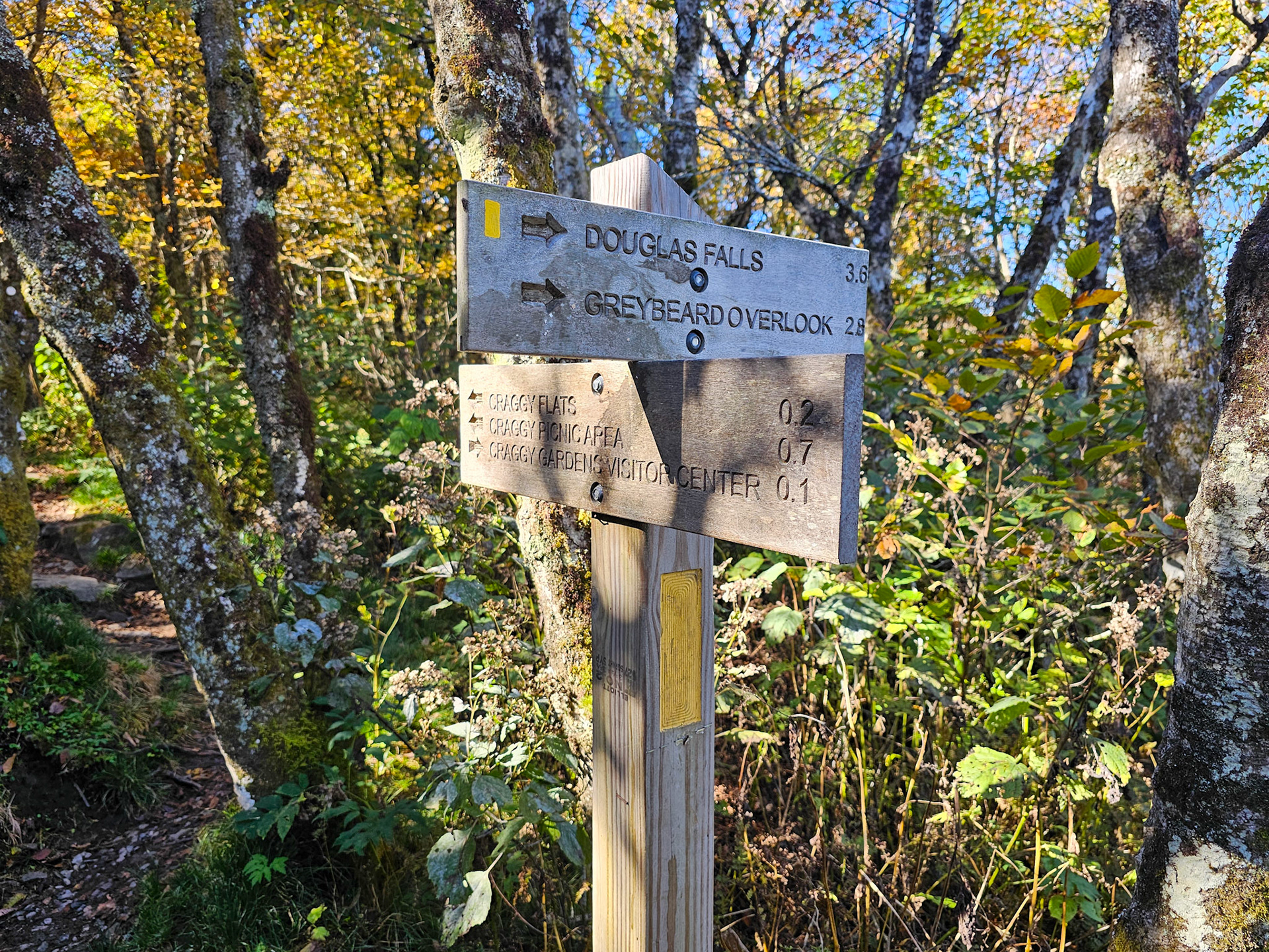 Fork Signpost #1 (Go Right)