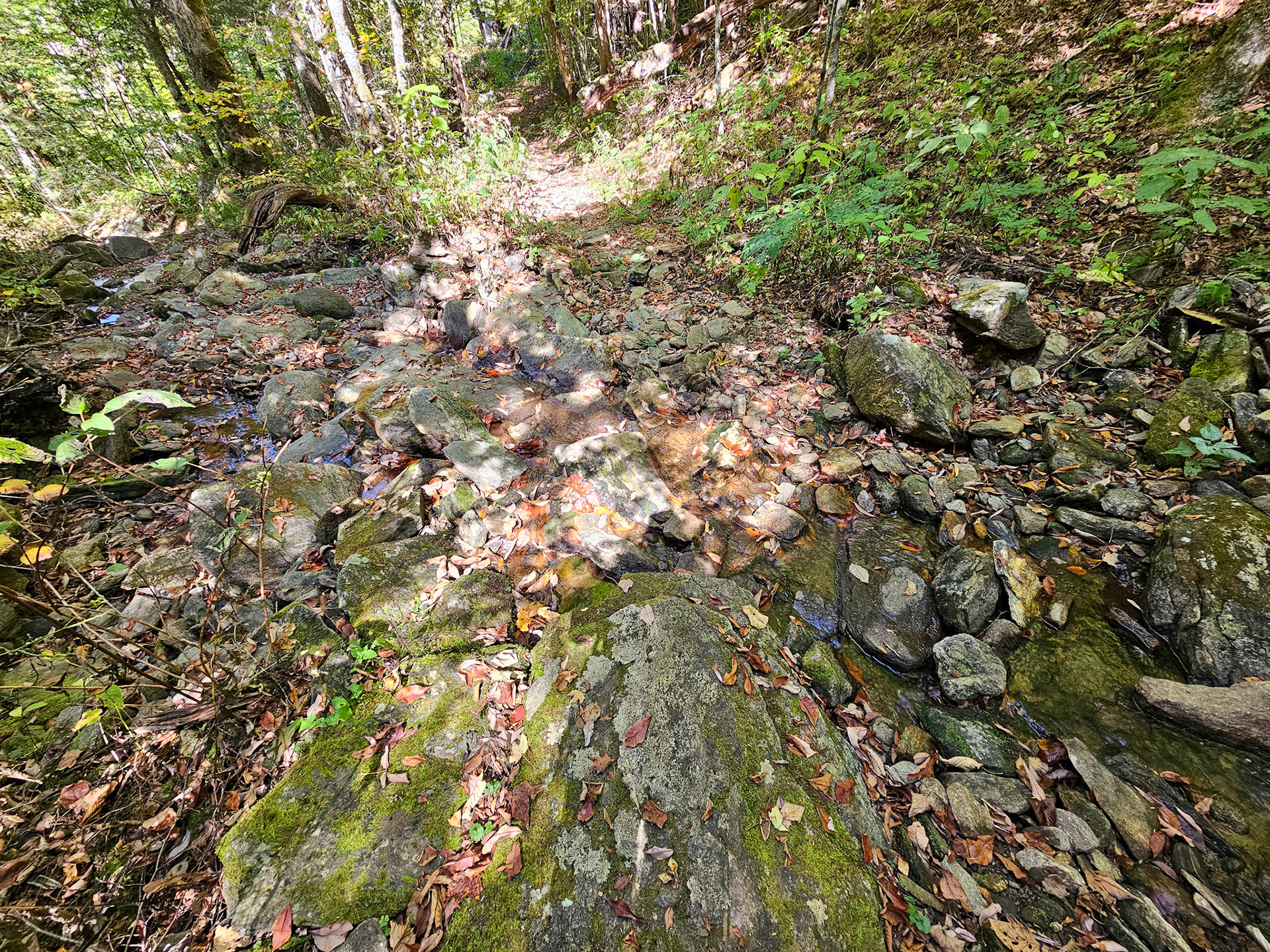 2.8 Miles - Waterfall Creek Crossing #3