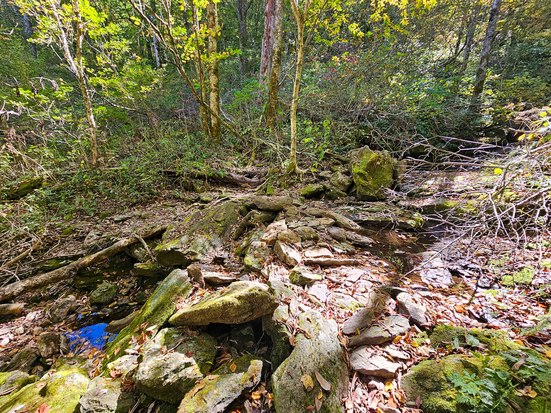 1.7 Miles - Waterfall Creek Crossing #1