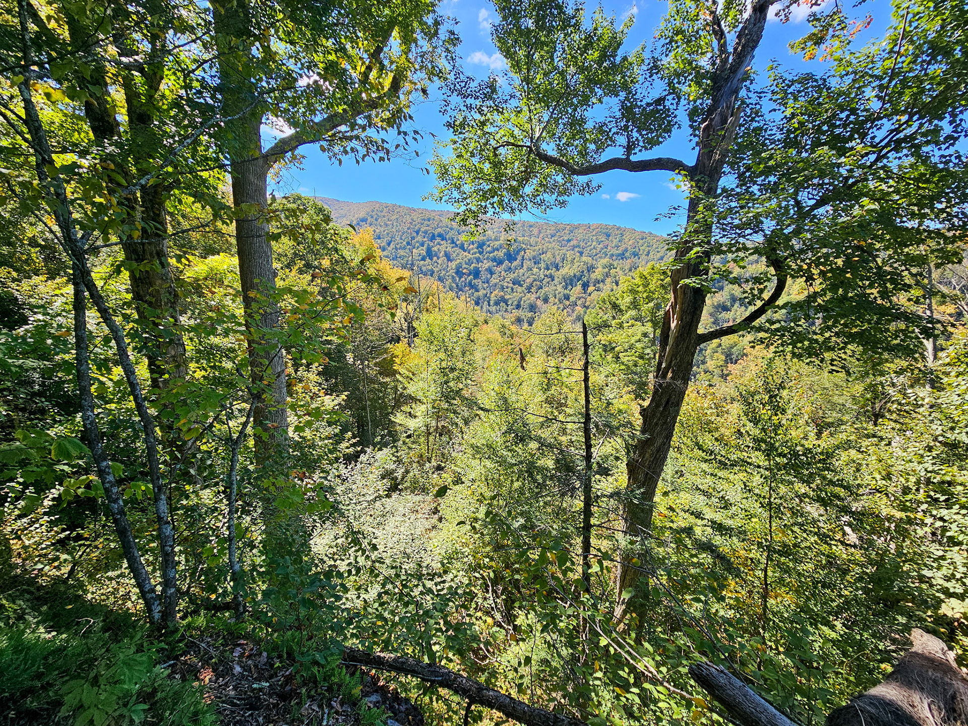 3.4 Miles - Large Rock Viewpoint