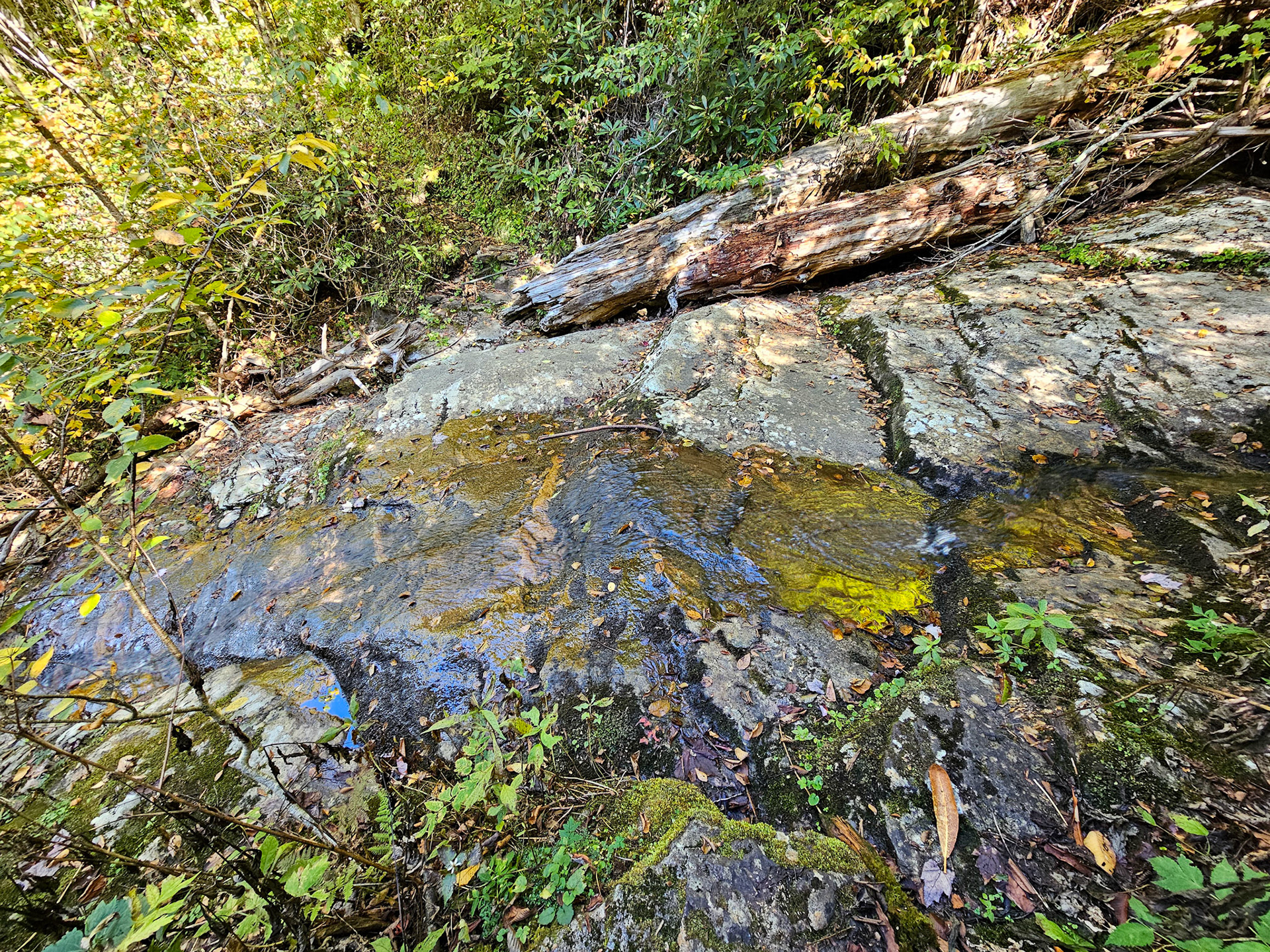 2.1 Miles - Waterfall Creek Crossing #2