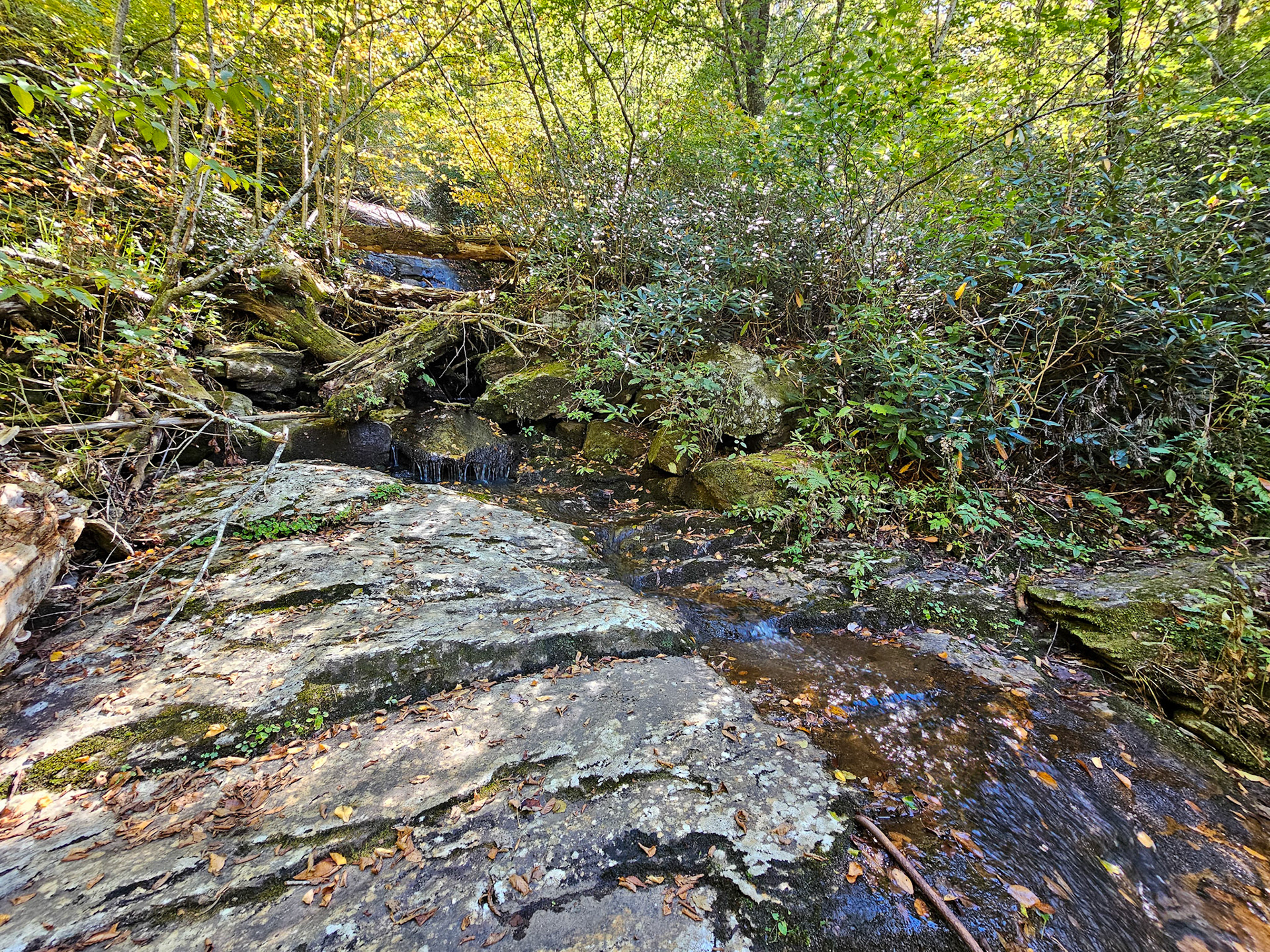 2.1 Miles - Cascades Falls