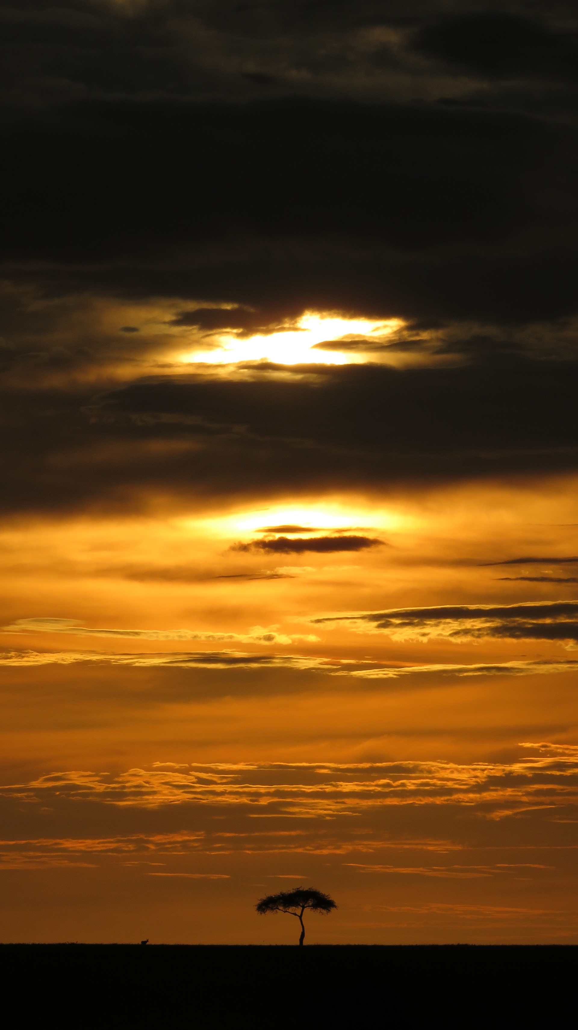 Sunset at Masai Mara