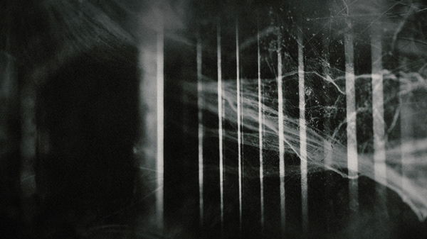 windmill of your mind sixt mehr still 4