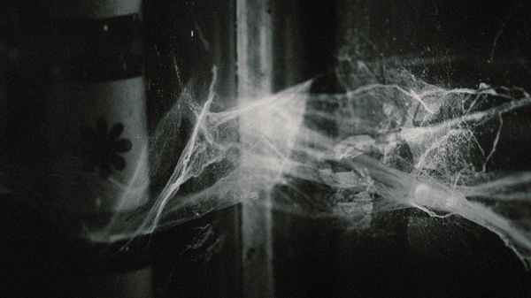 windmill of your mind sixt mehr still 3