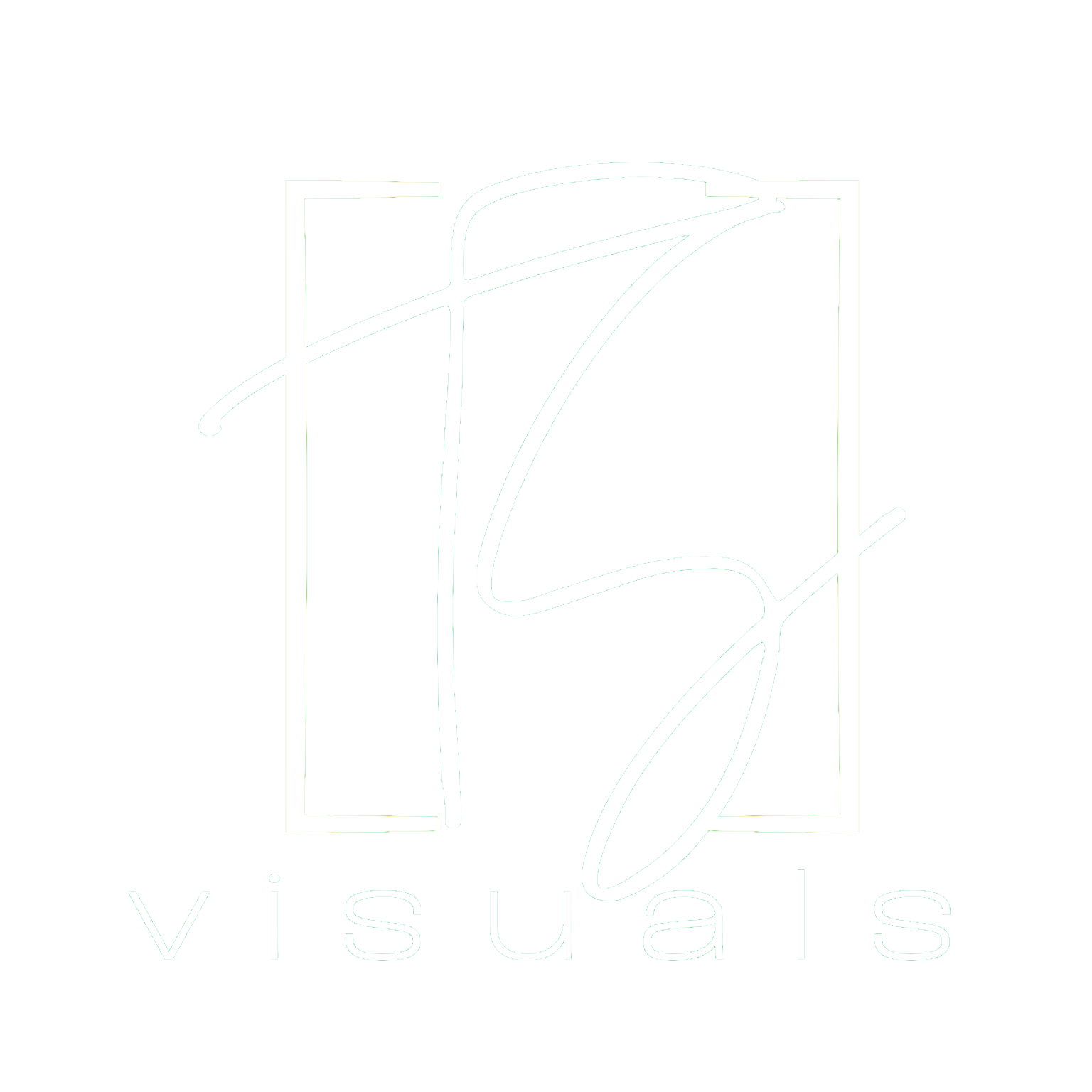 TS Visuals