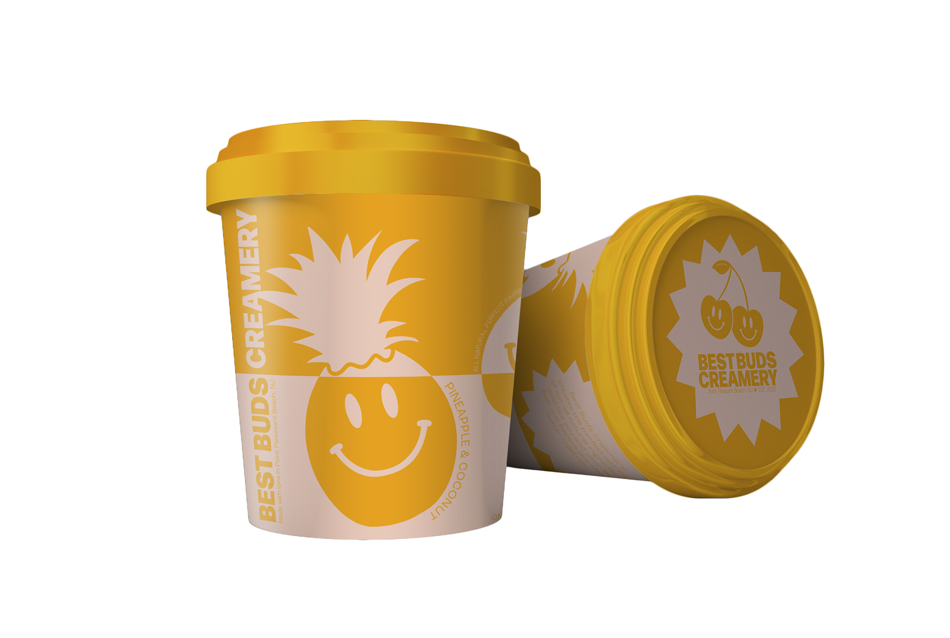 Pineapple & Coconut Ice Cream Pint