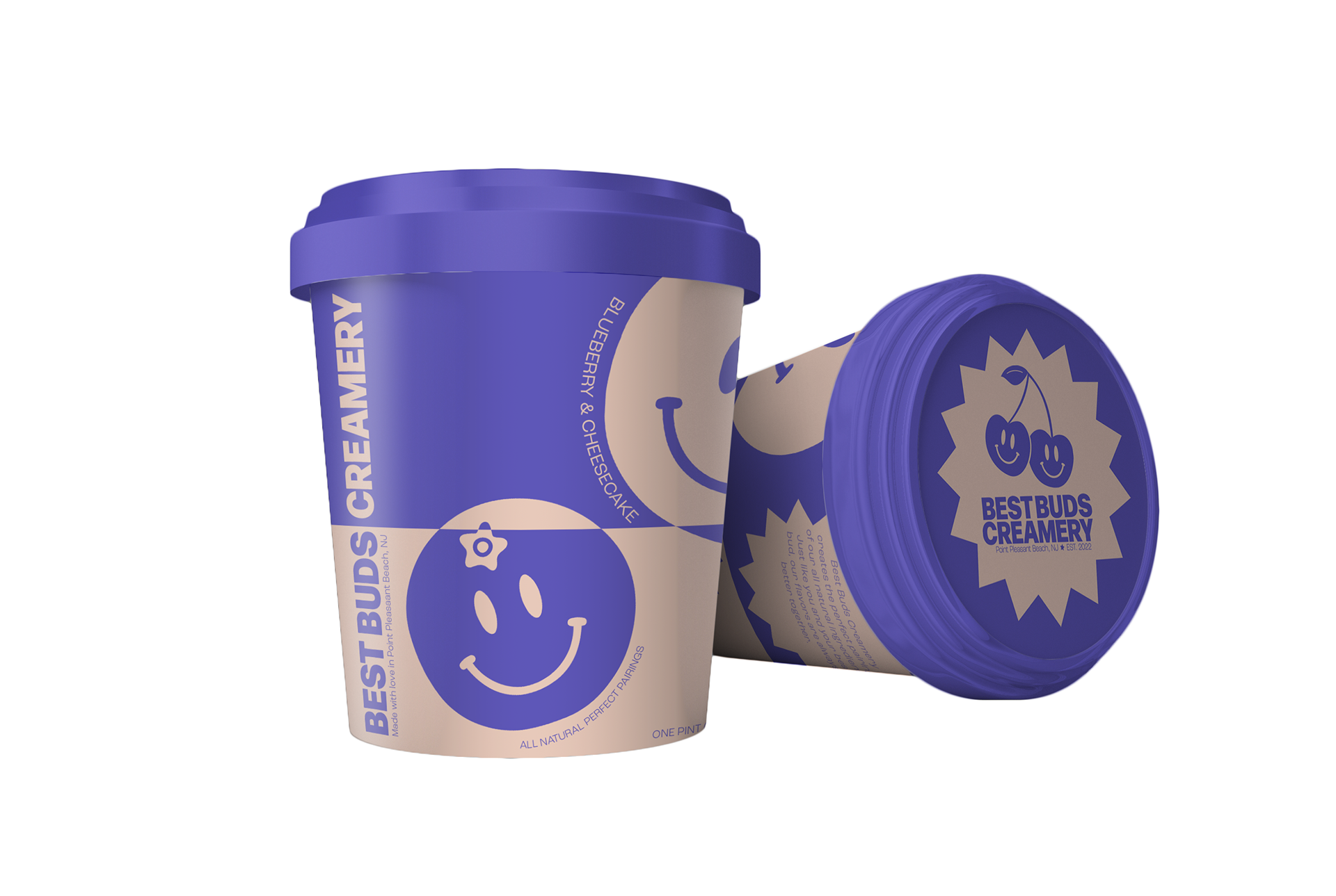 Blueberry & Cheesecake Ice Cream Pint