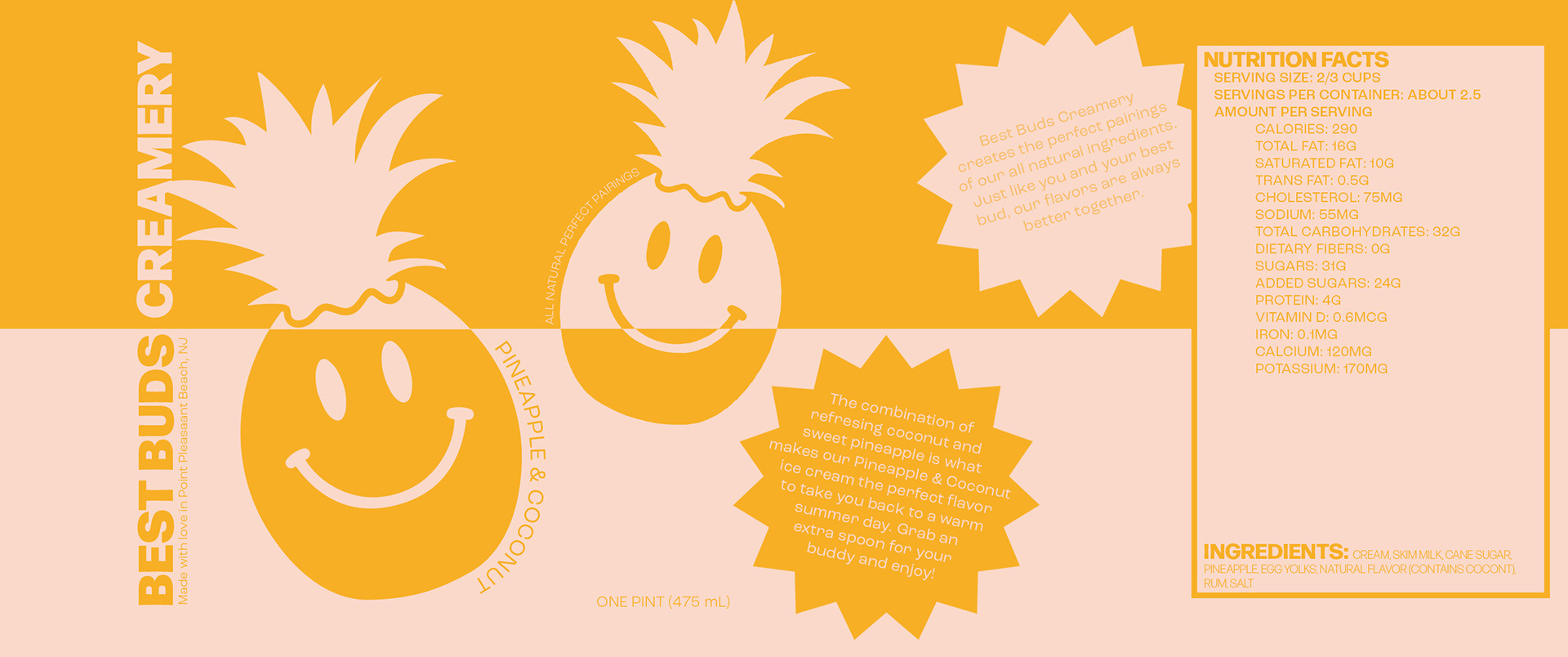 Pineapple & Coconut Ice Cream Pint Flatlay