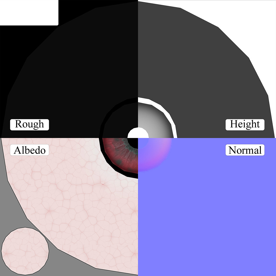 Eye