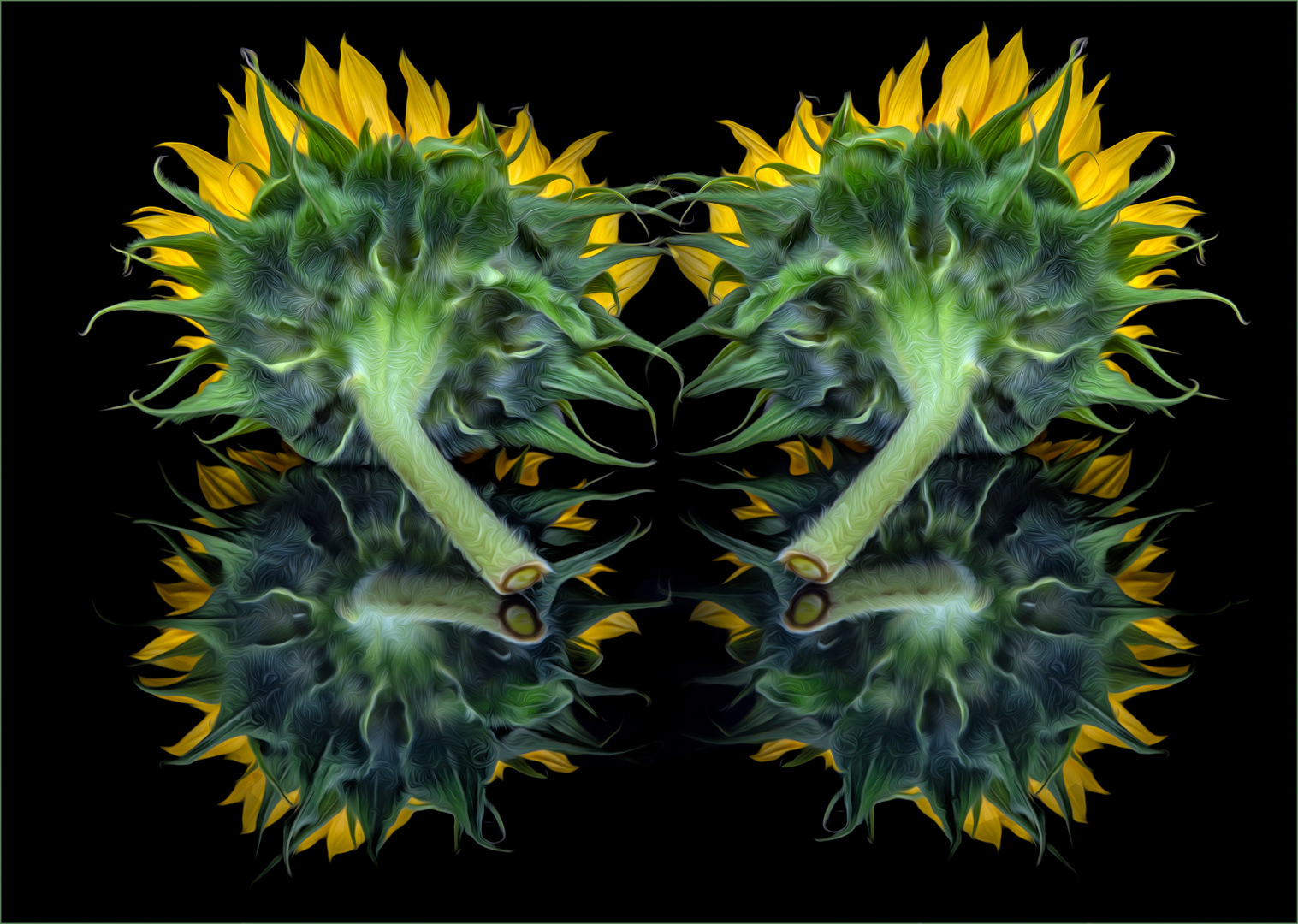 28. Sunflowers